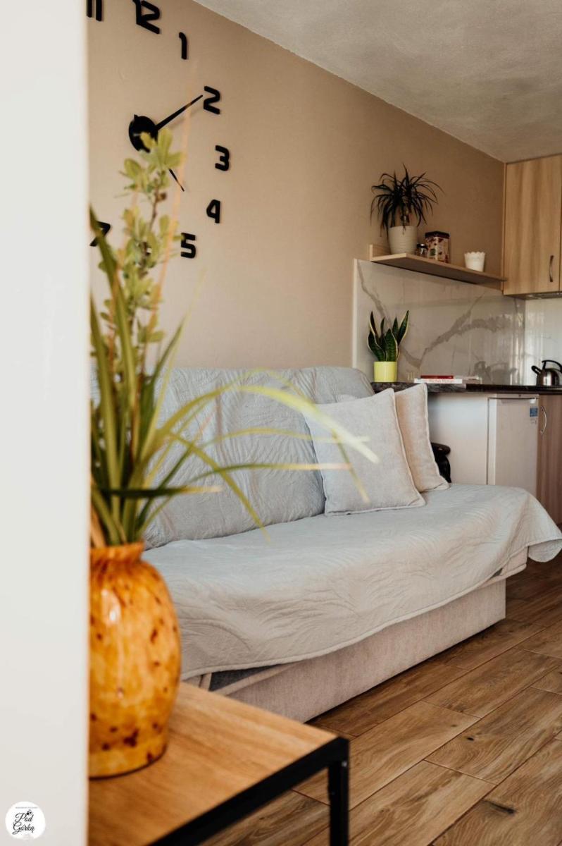 Apartment - Photo 22