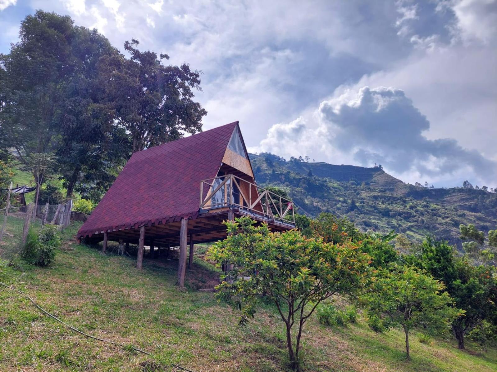 One-Bedroom Chalet photo 2