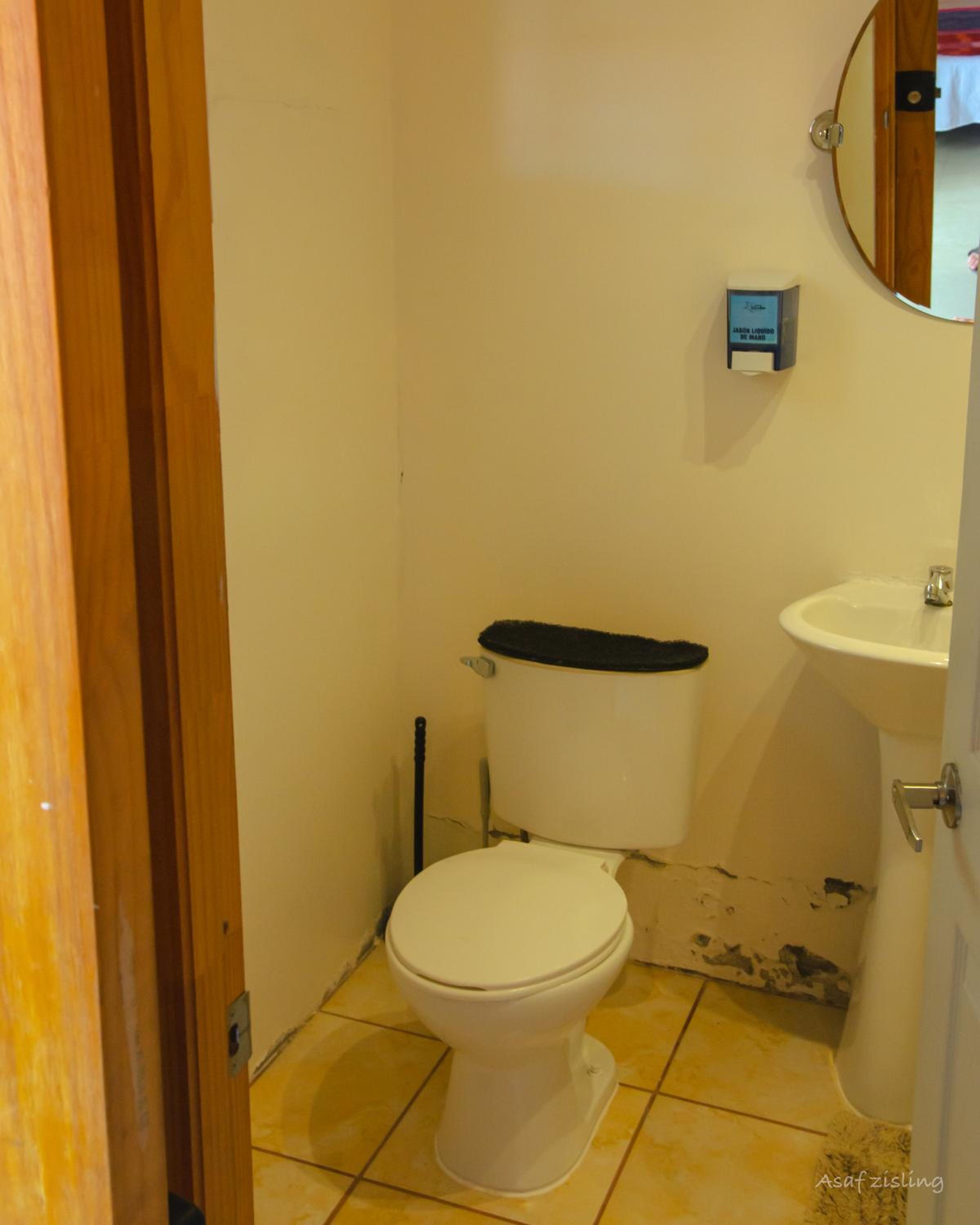 Deluxe Bungalow photo 3