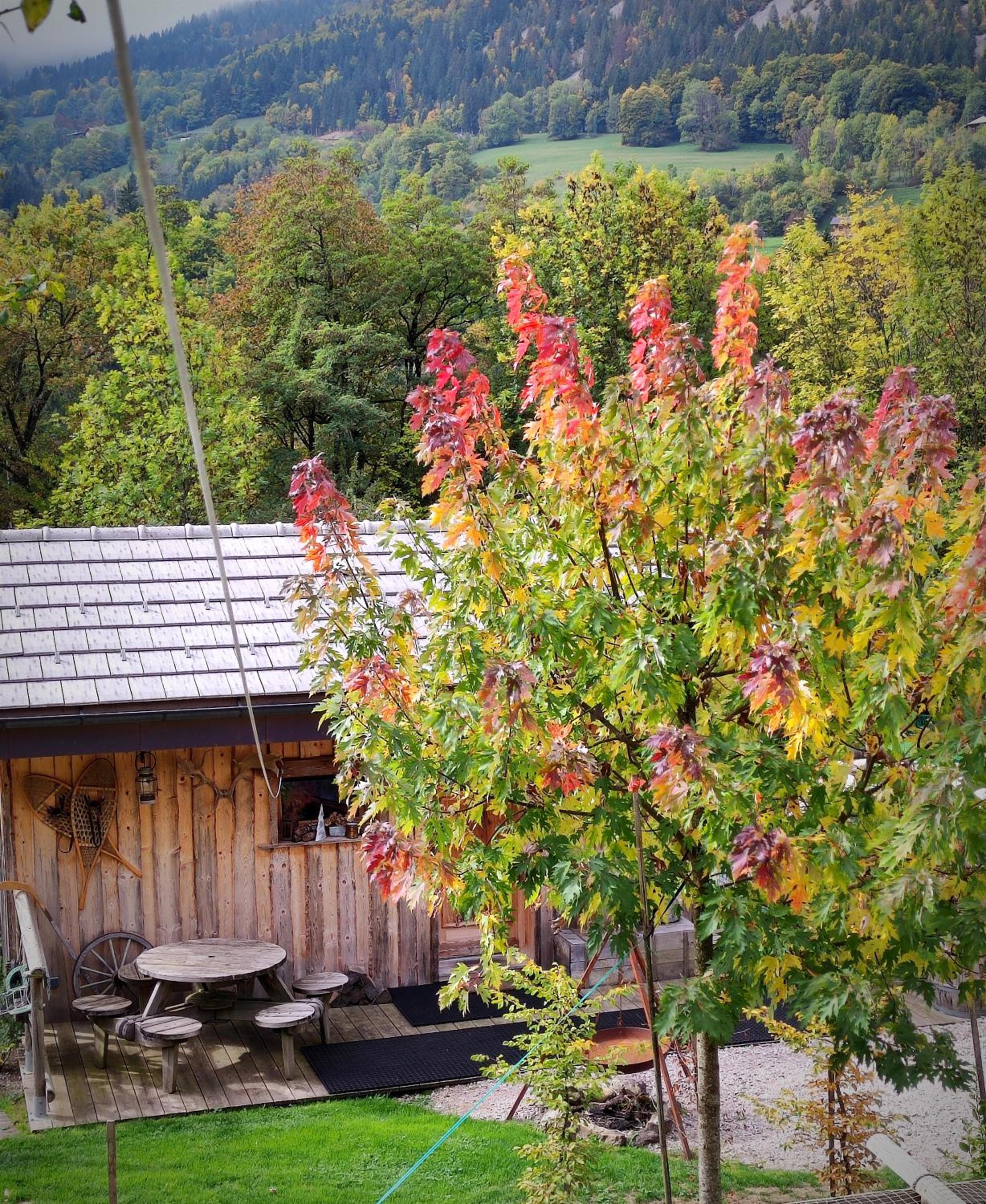 Chalet - Photo 2
