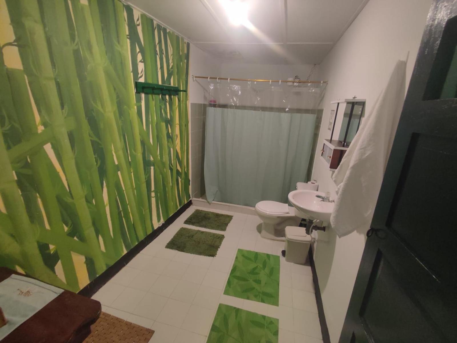 Single Room photo 3