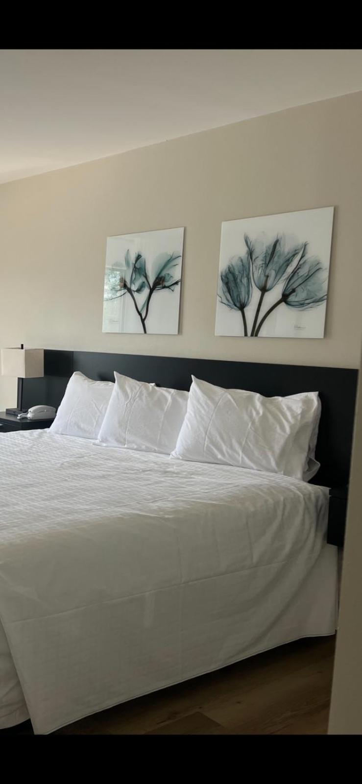 Deluxe King Room - Photo 5