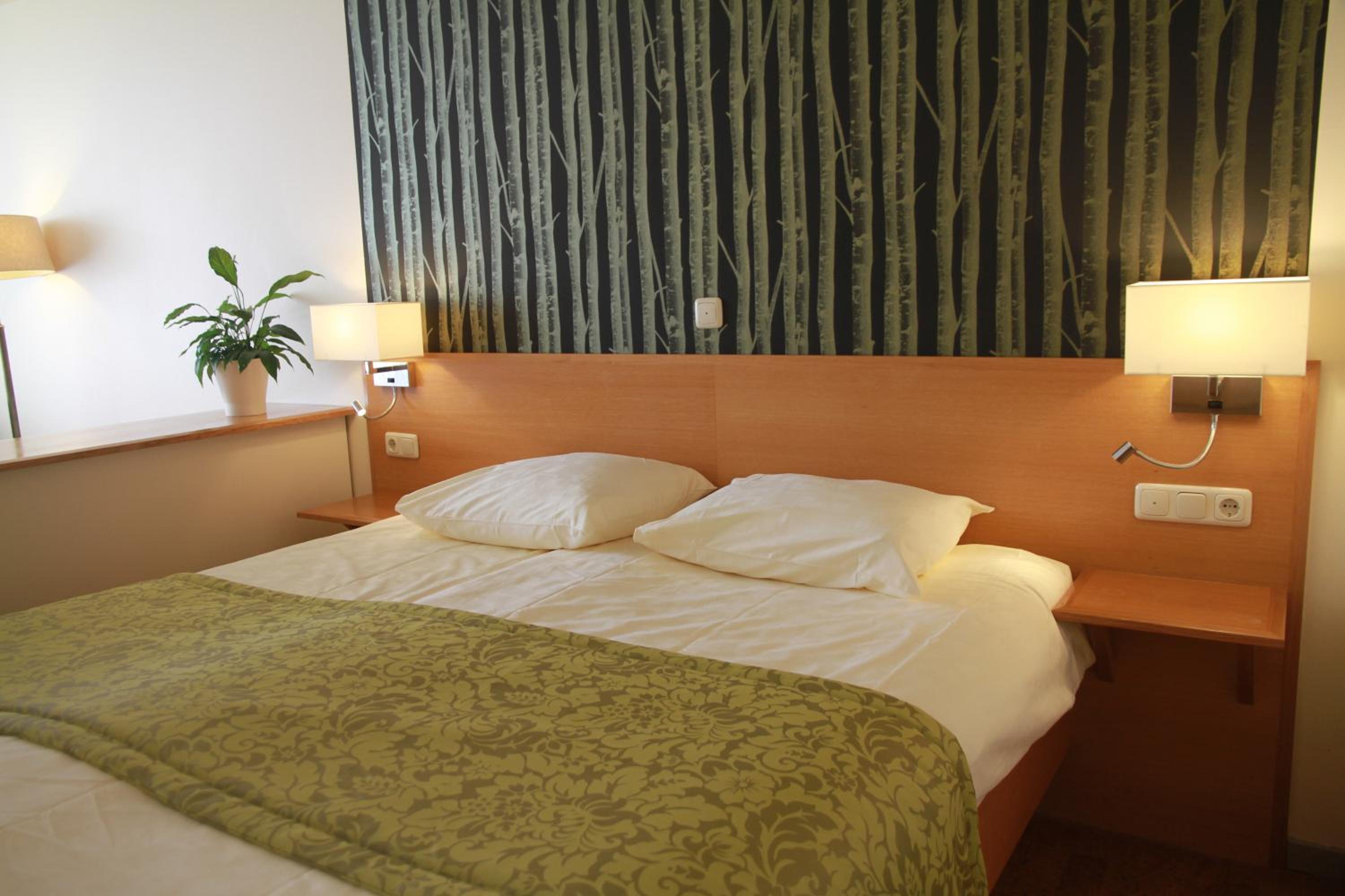 Comfort Double Room with Balcony/Terrace - Photo 6