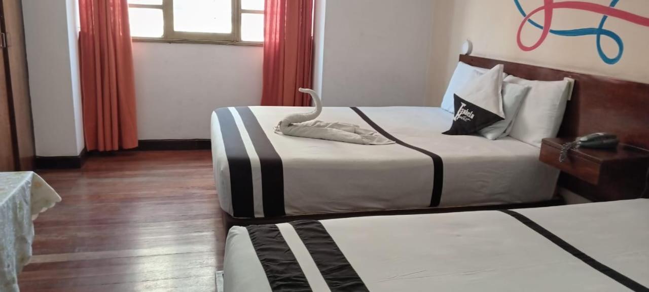 Twin Room photo 2