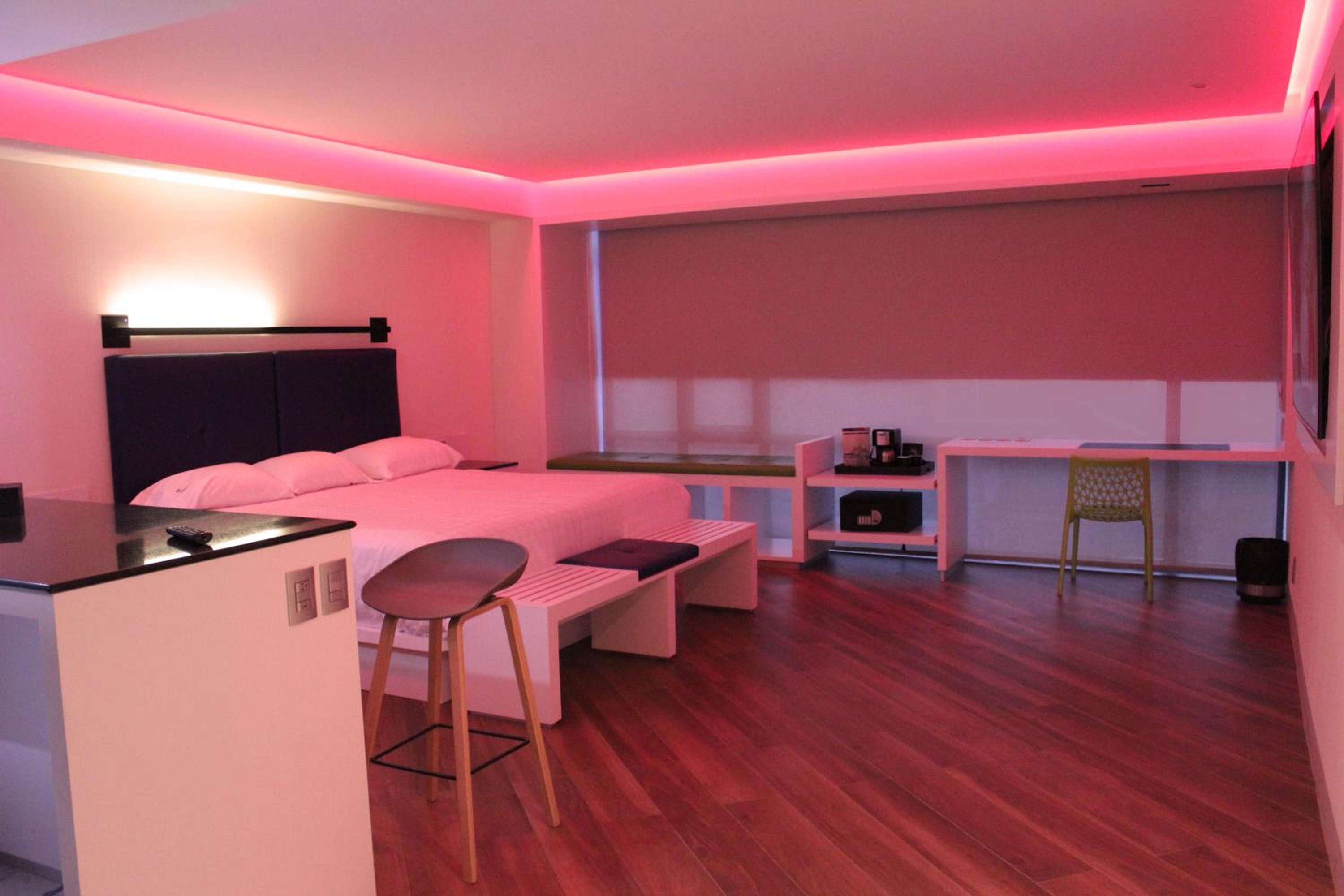 Standard Suite photo 3