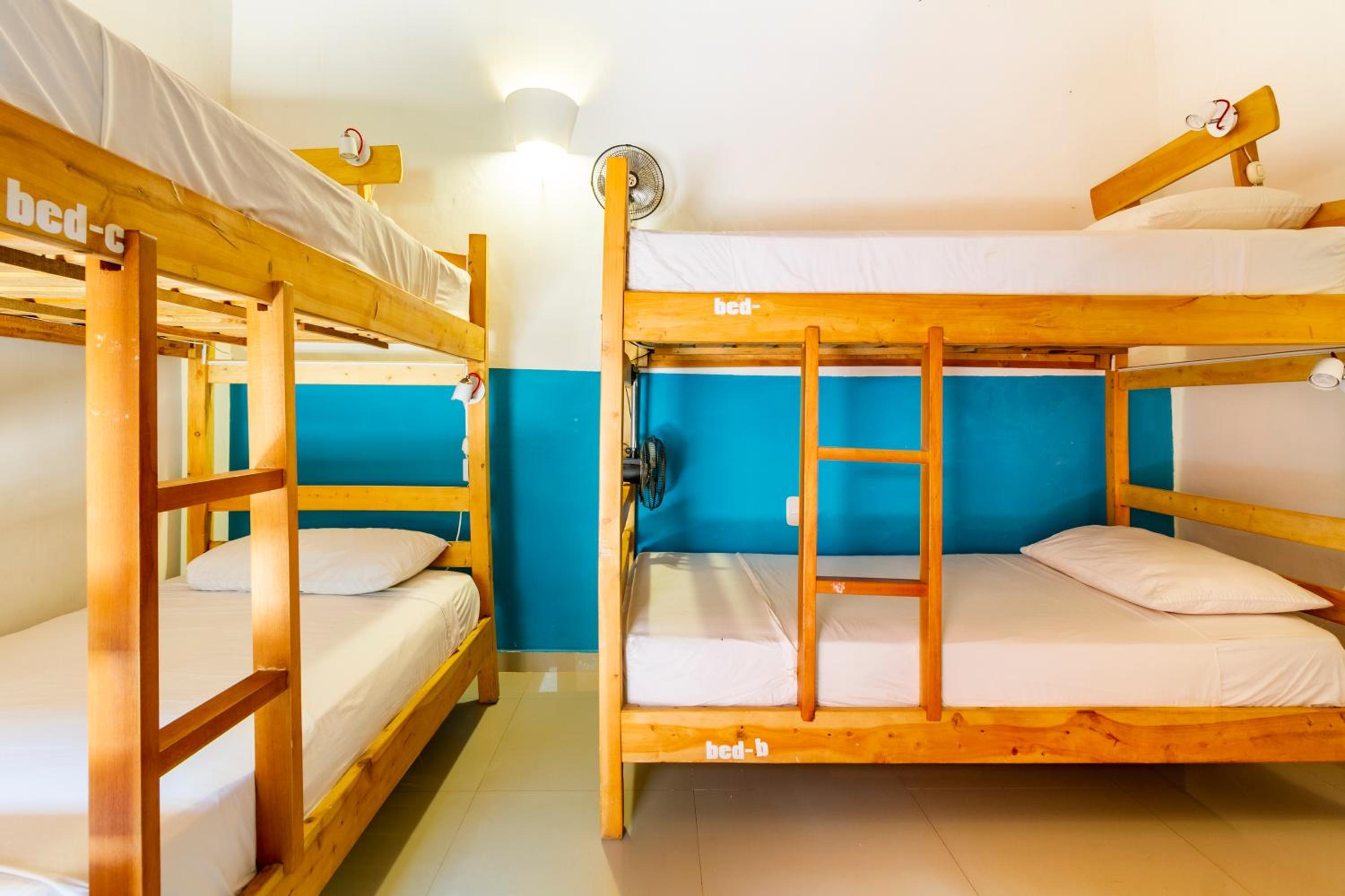 Bed in 4-Bed Dormitory Room photo 1