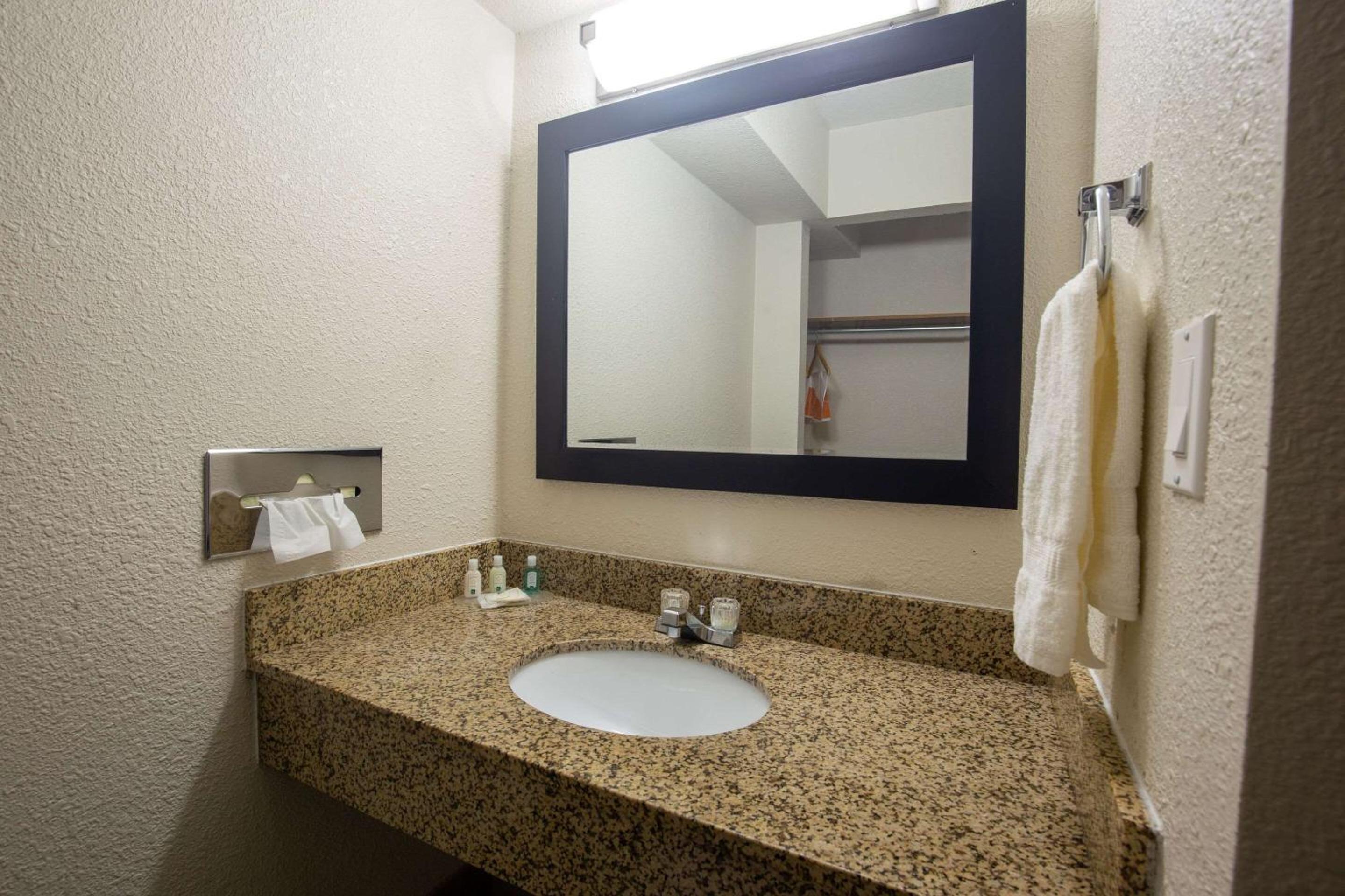 King Room - Photo 5