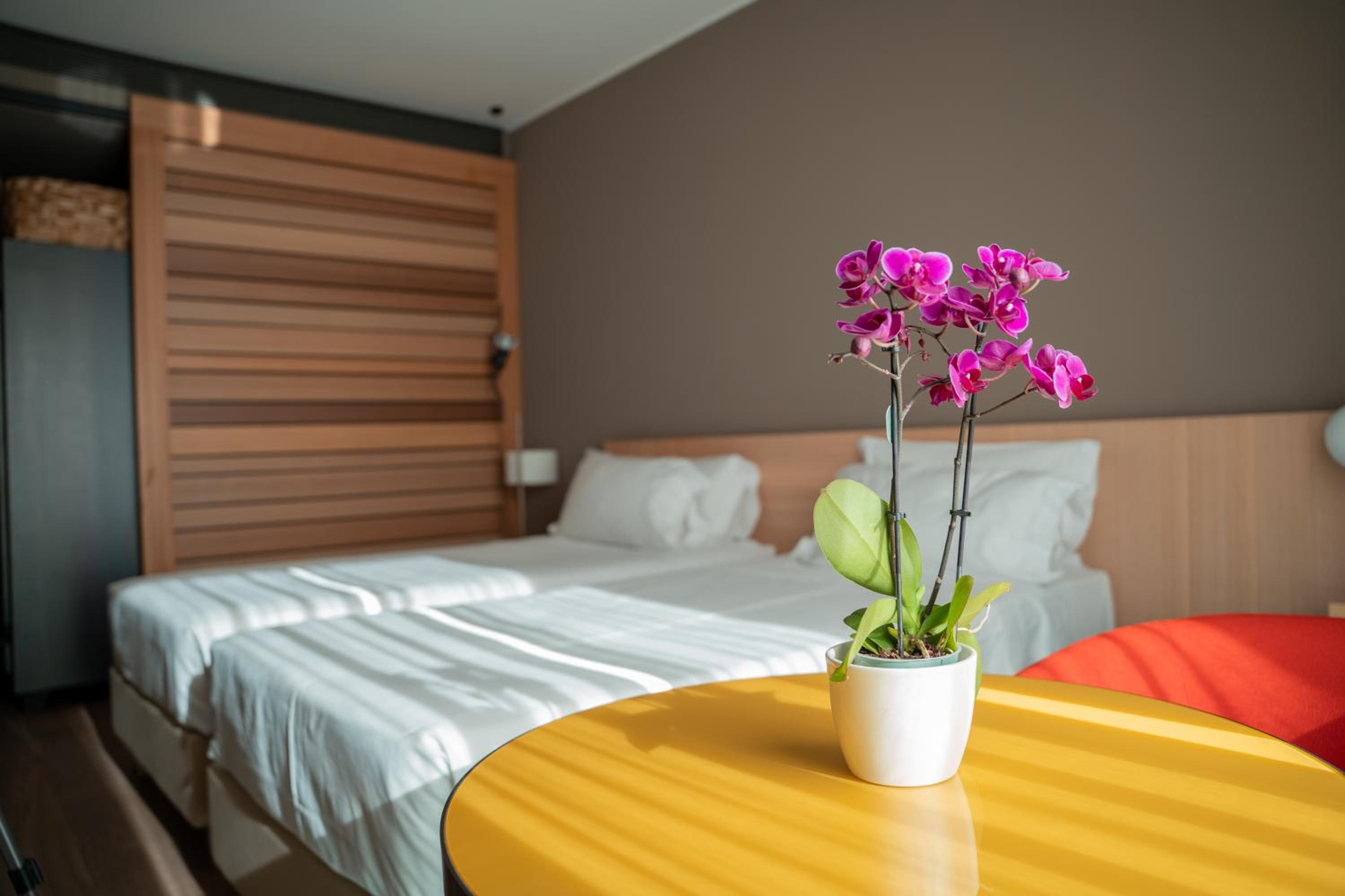 Comfort Double or Twin Room with Spa Access