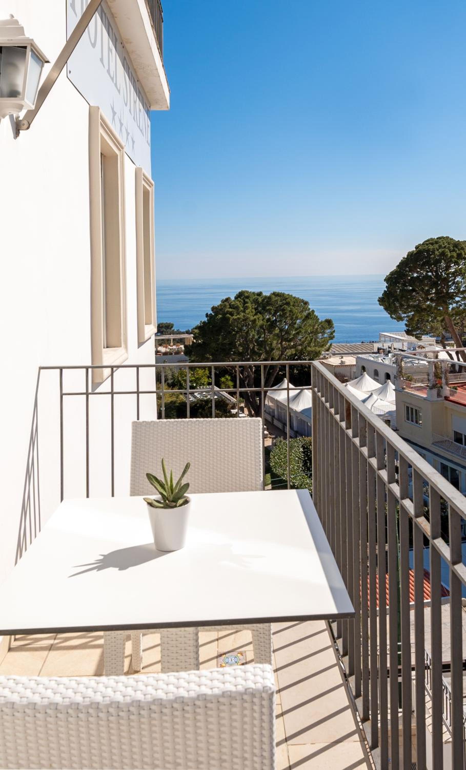 Double or Twin Room with Balcony and Garden View