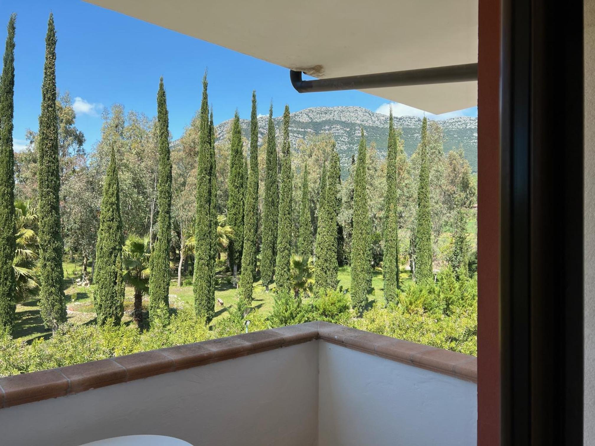 Large Double Room photo 2