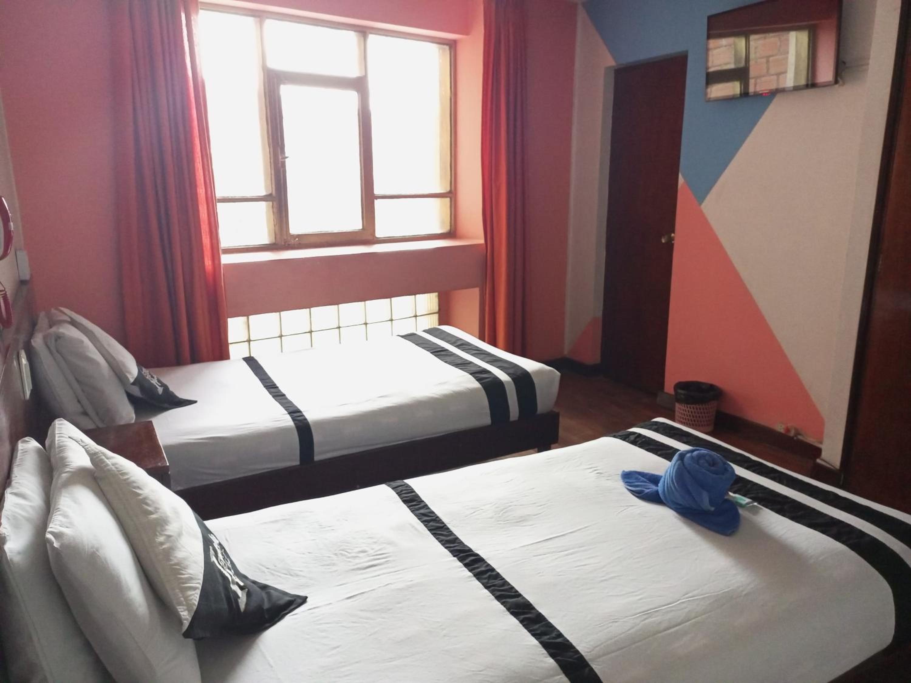 Twin Room photo 1