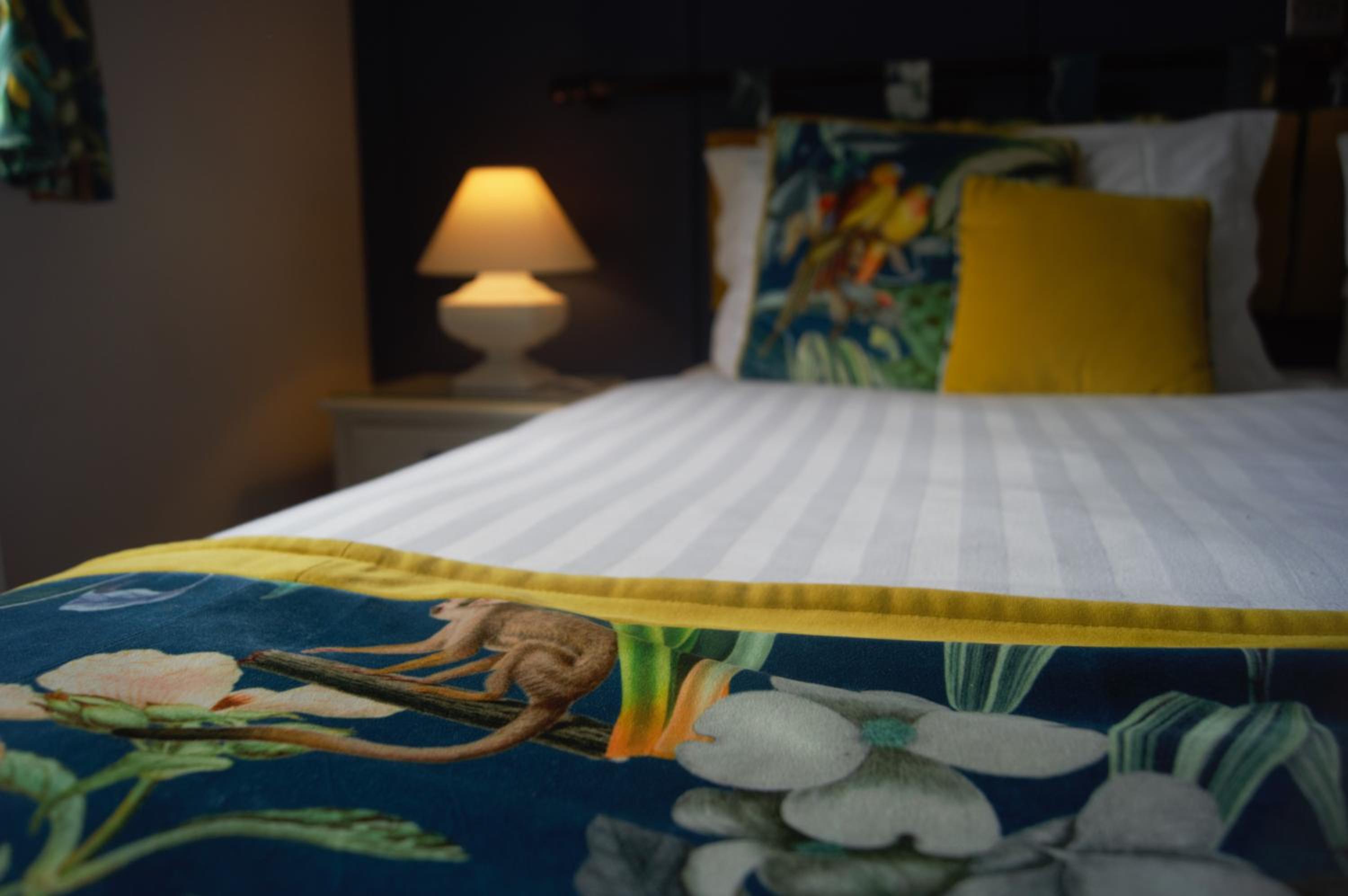 Superior Double Room photo 3