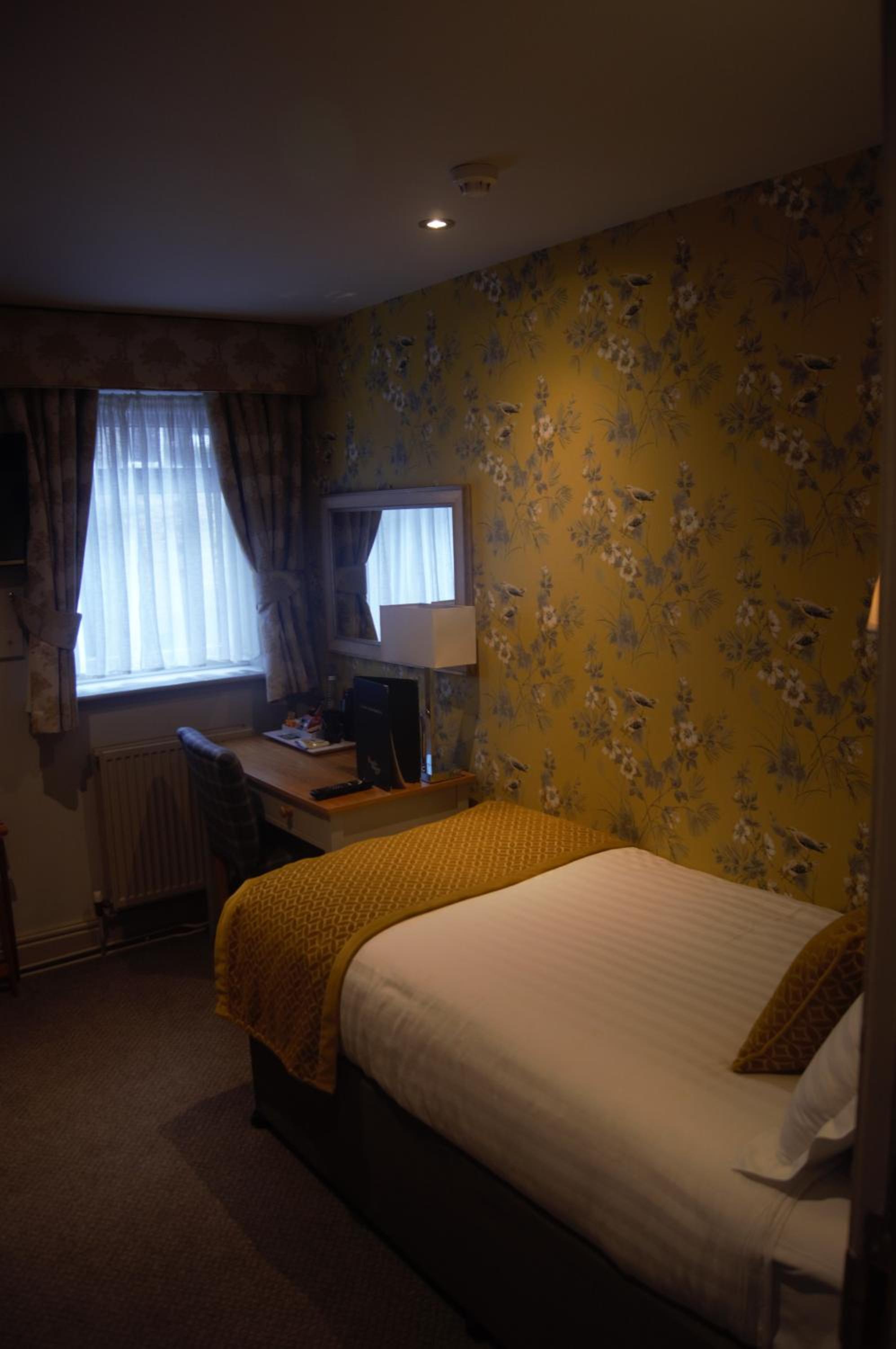 Single Room photo 2