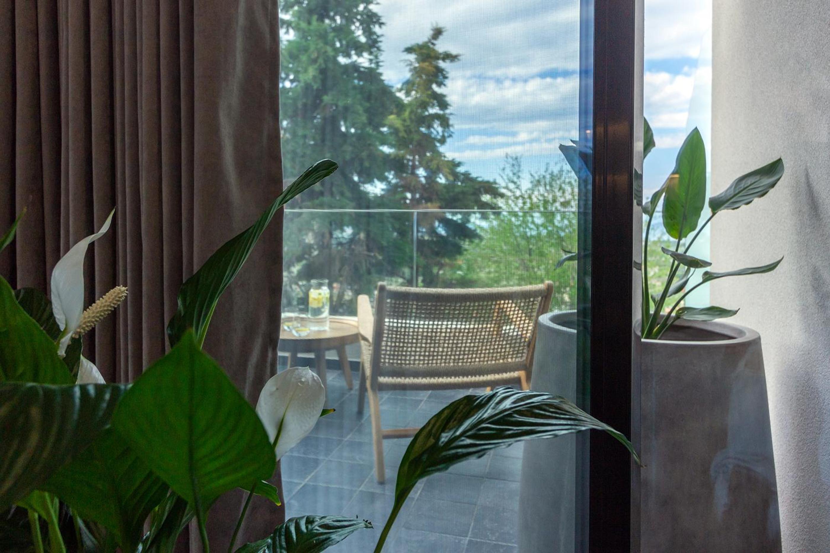Deluxe Queen Suite - Photo 33
