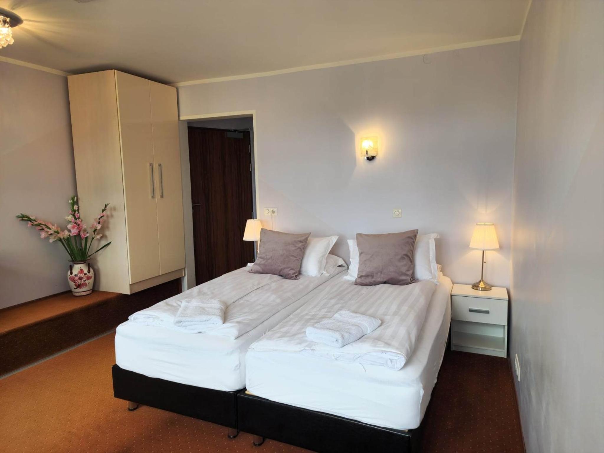 Superior Double or Twin Room photo 3