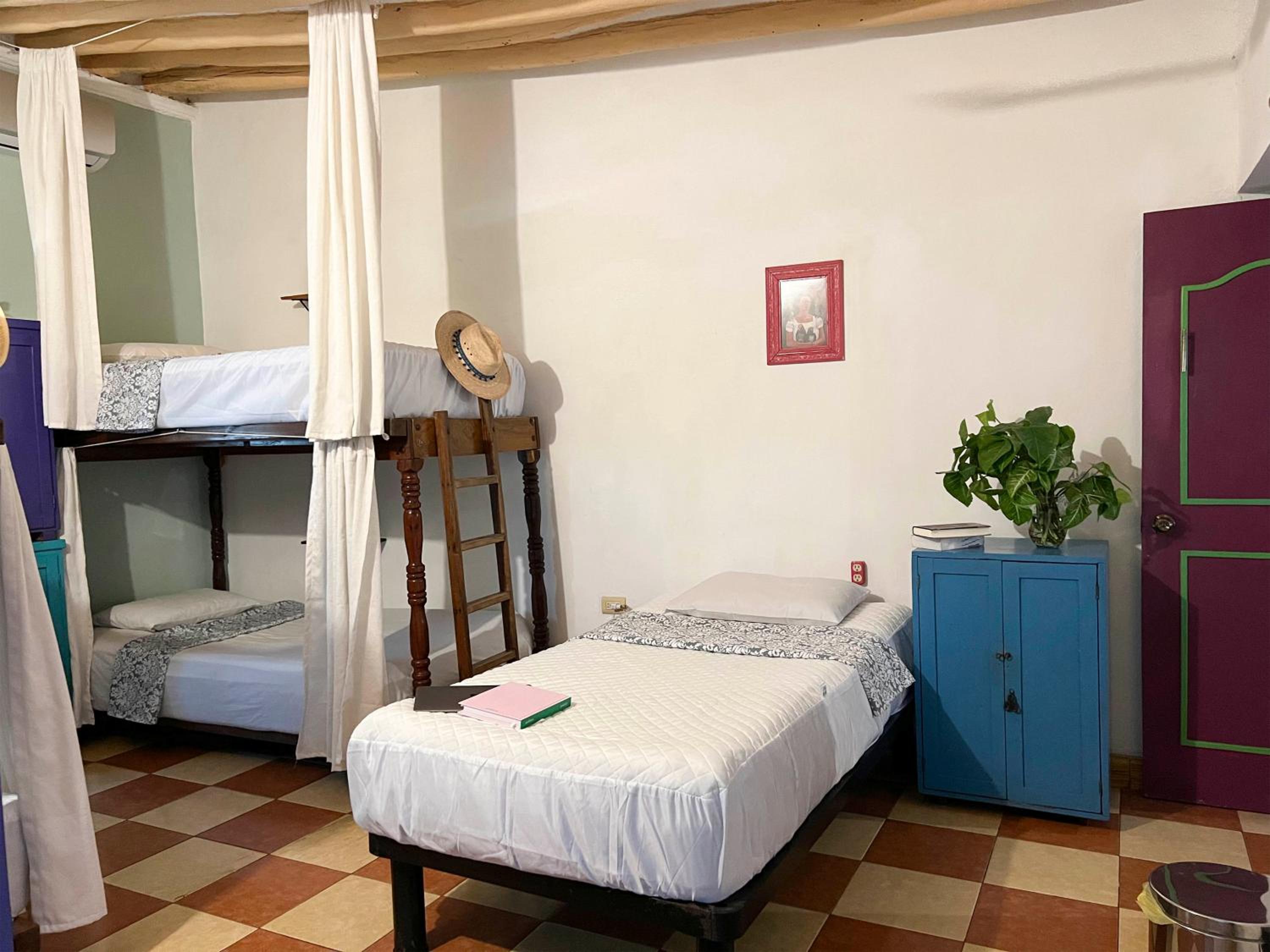 Bunk Bed in Mixed Dormitory Room photo 1