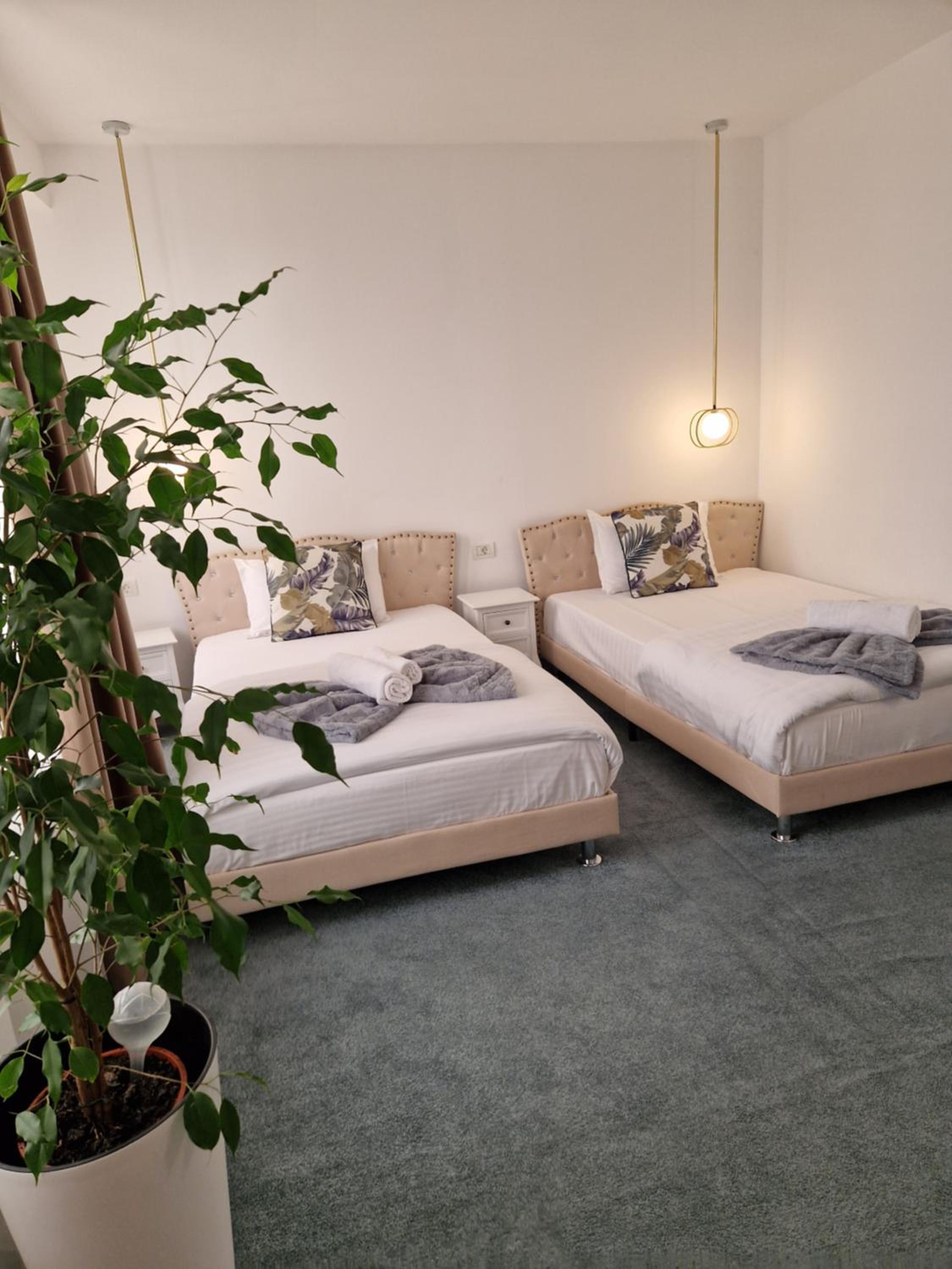 Deluxe Double or Twin Room with City View