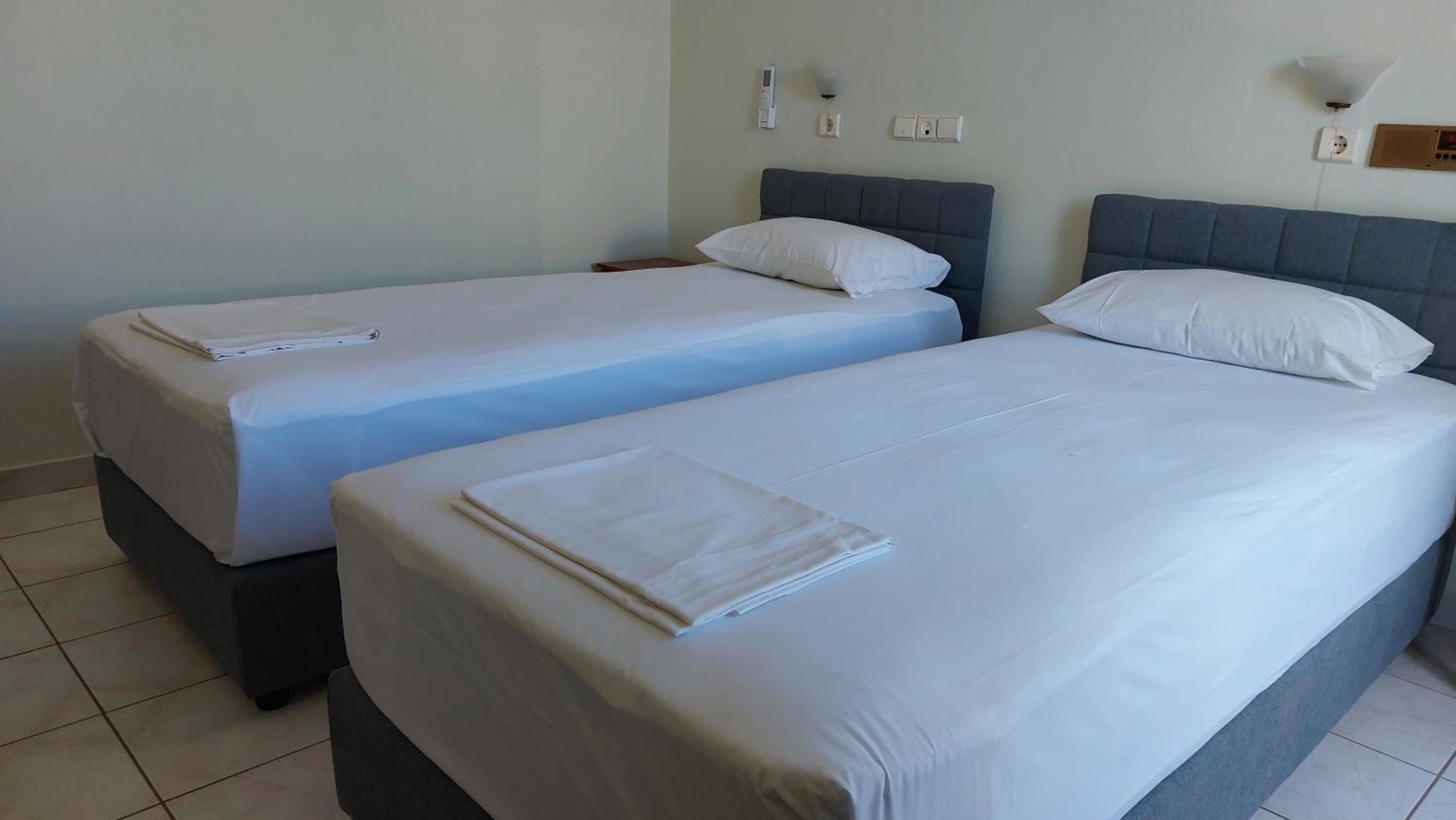 Single Room photo 1