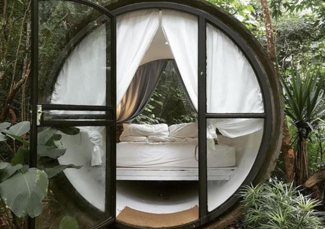 Capsule with Jungle View - Photo 2