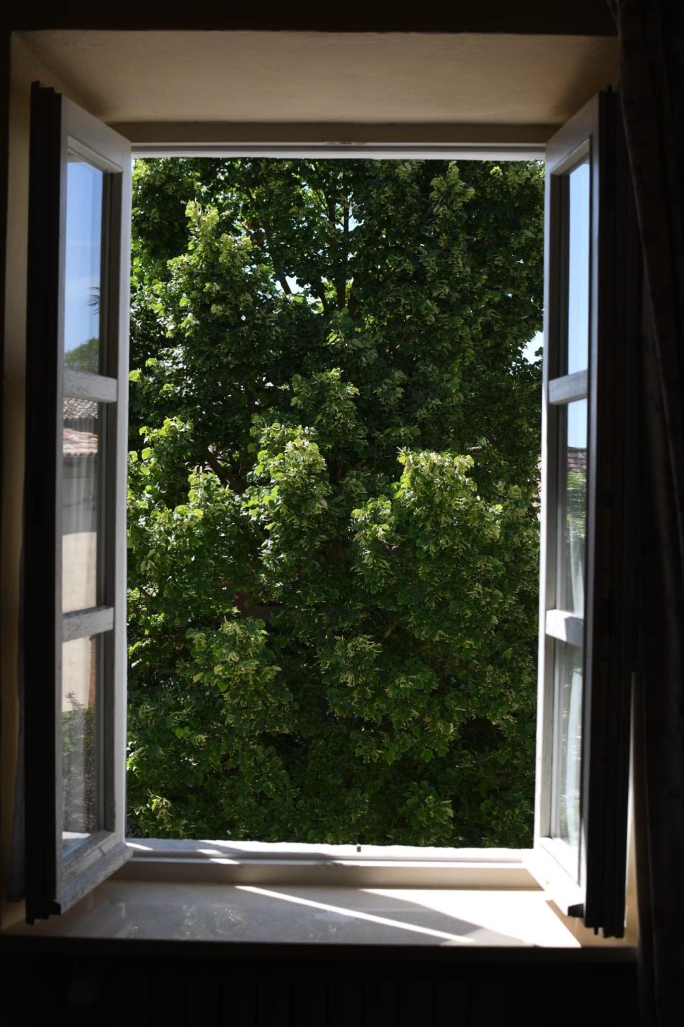 Double or Twin Room with Garden View photo 3