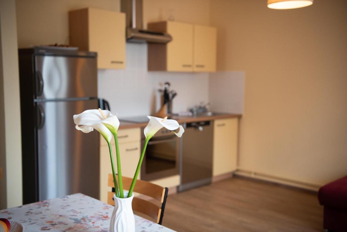 Two-Bedroom Apartment - Photo 18