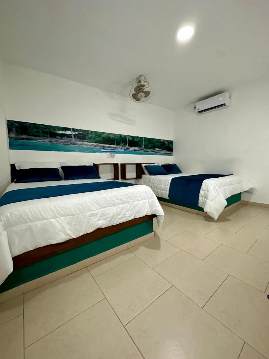 Twin Room photo 2