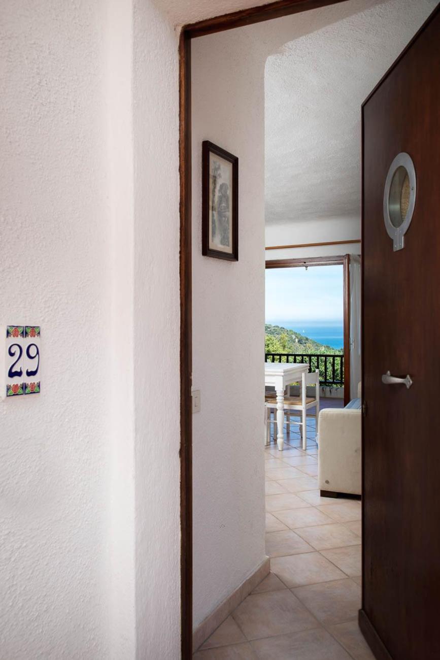 Apartment with Terrace photo 3