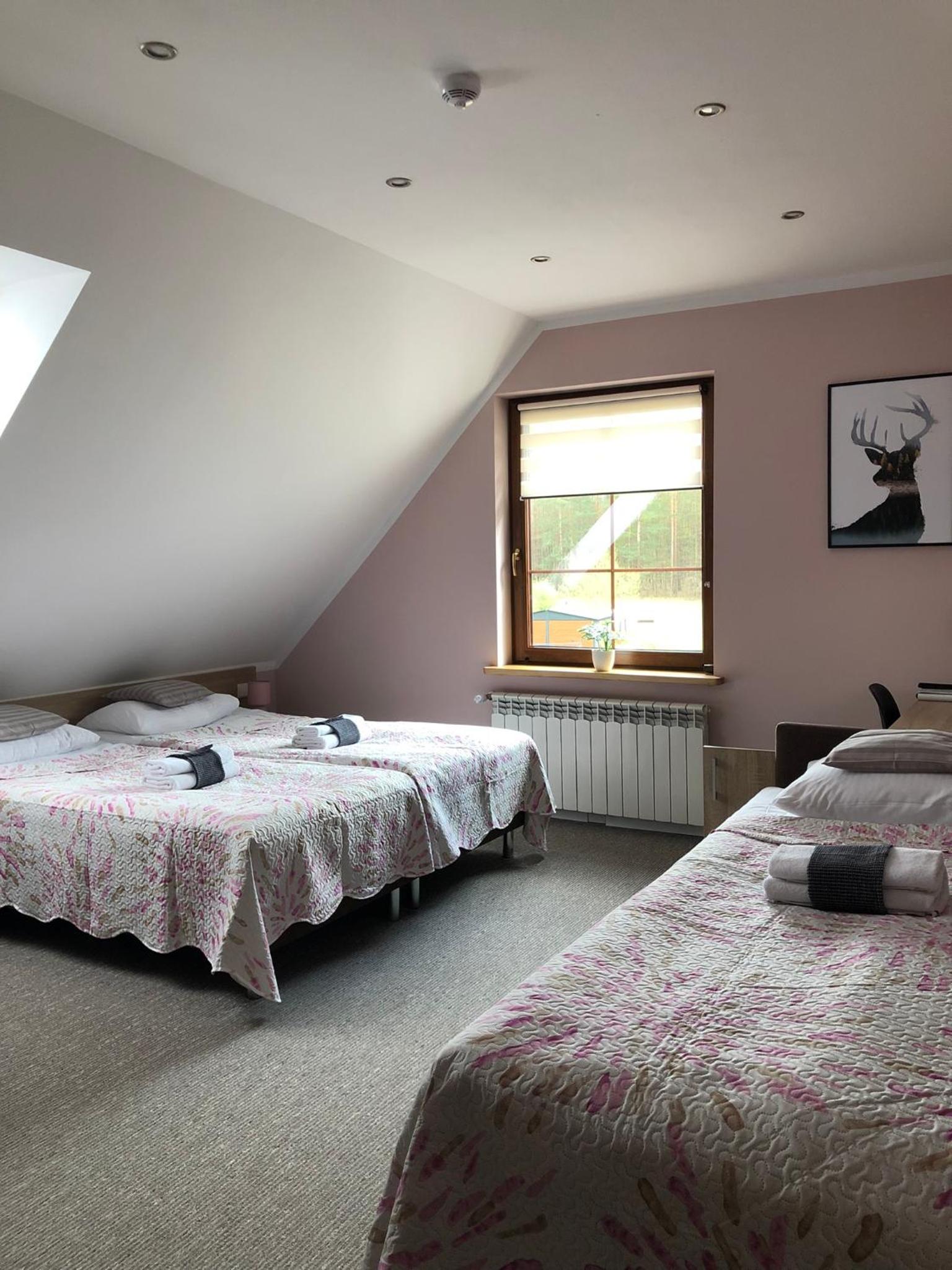 Comfort Triple Room photo 1