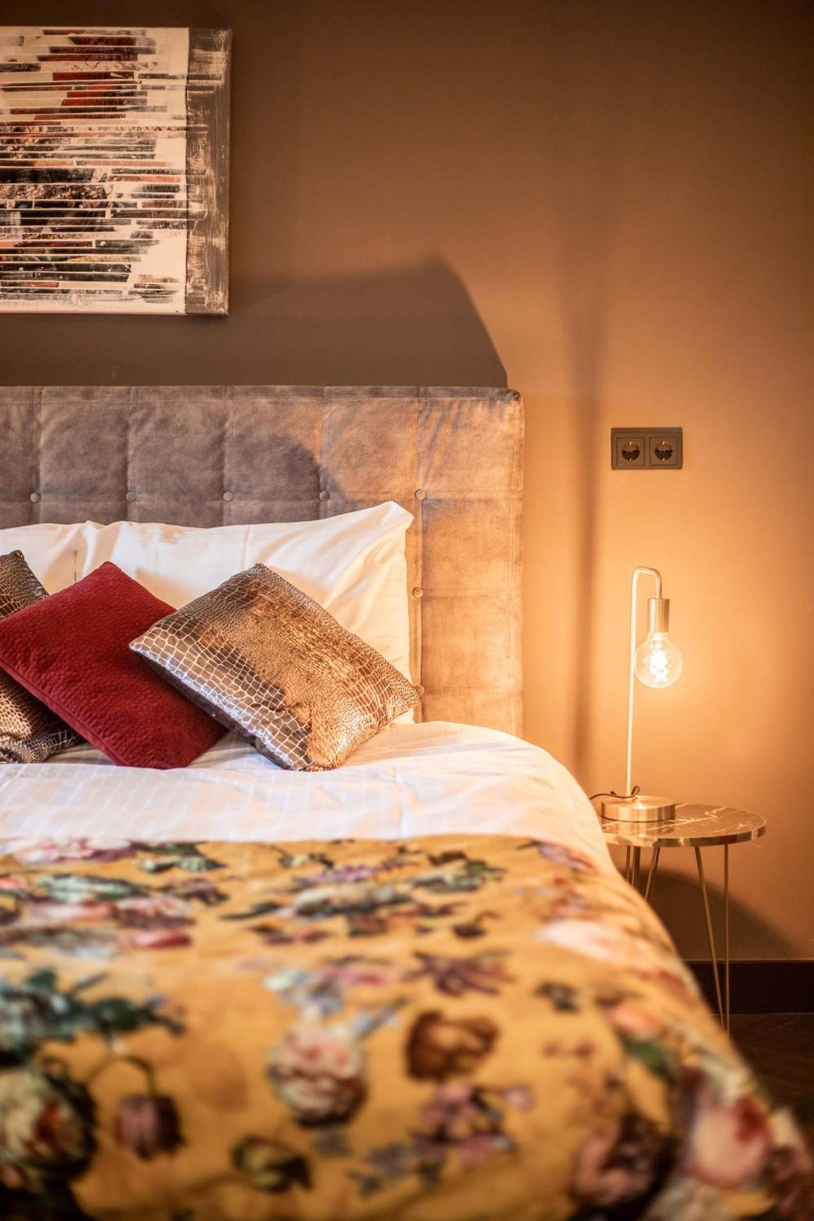 Deluxe King Suite - Photo 11