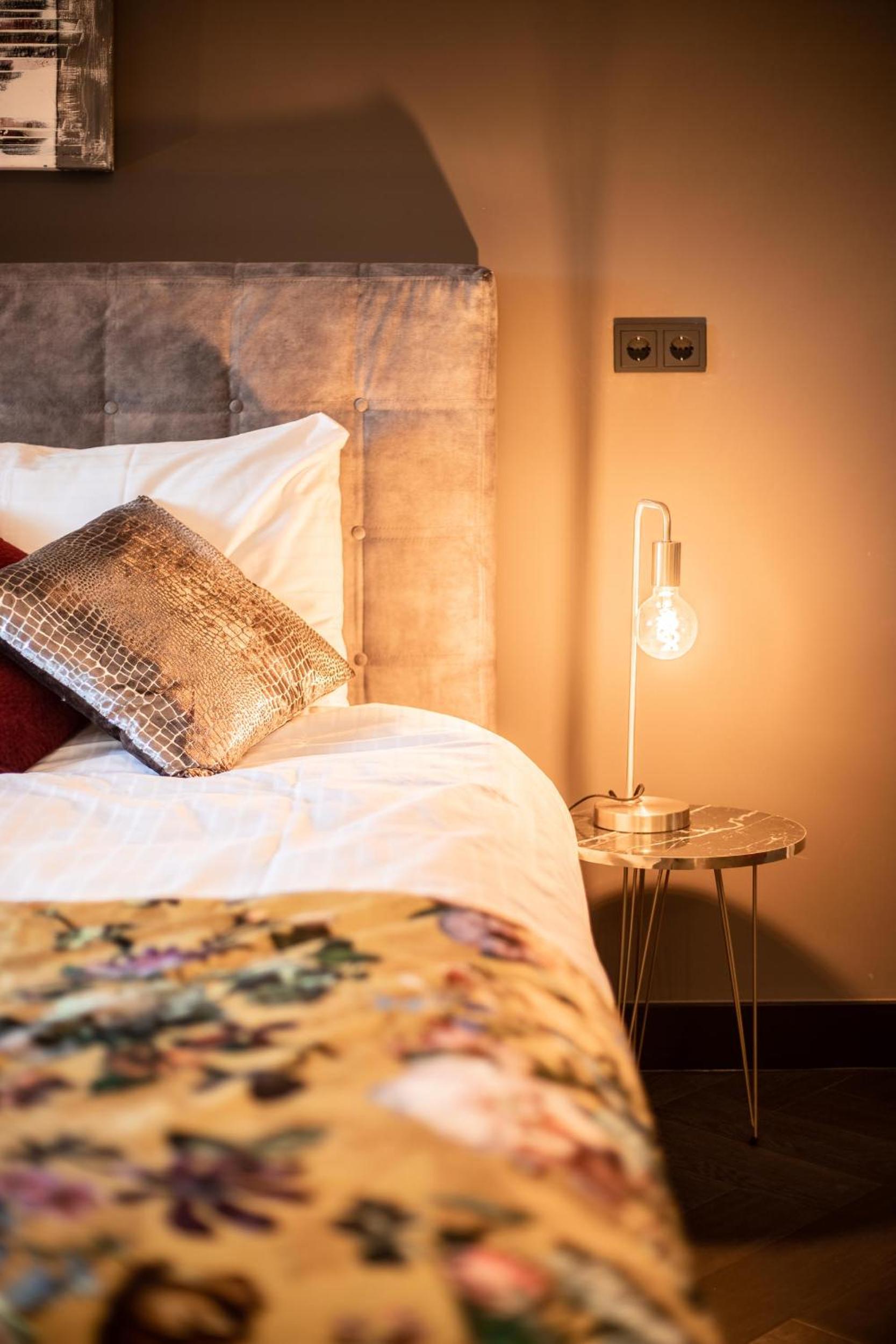 Deluxe King Suite - Photo 15