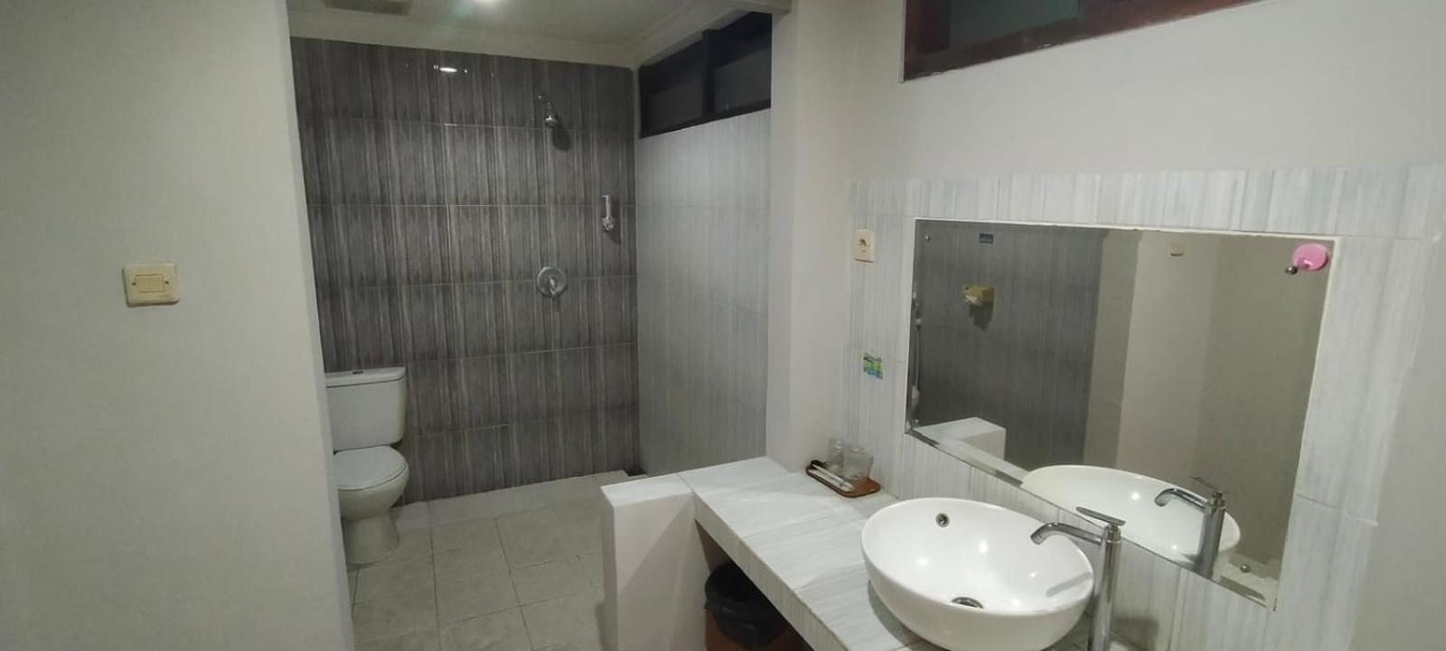 Deluxe Twin Room - Photo 6
