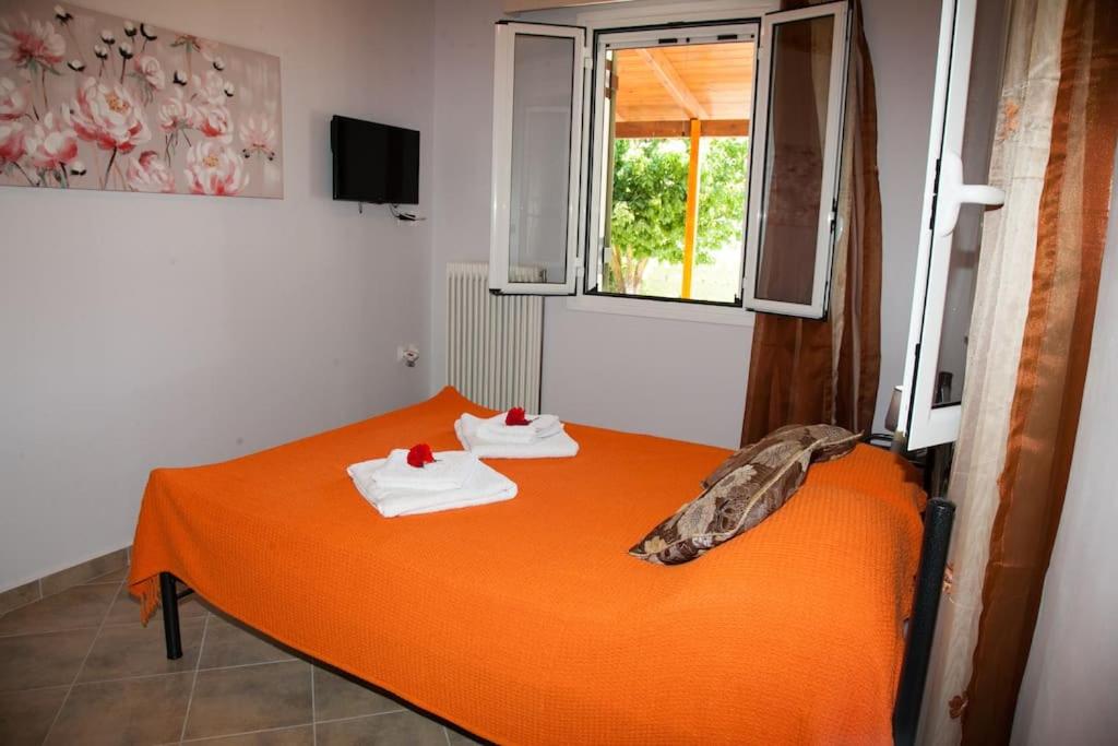 Two-Bedroom House photo 1