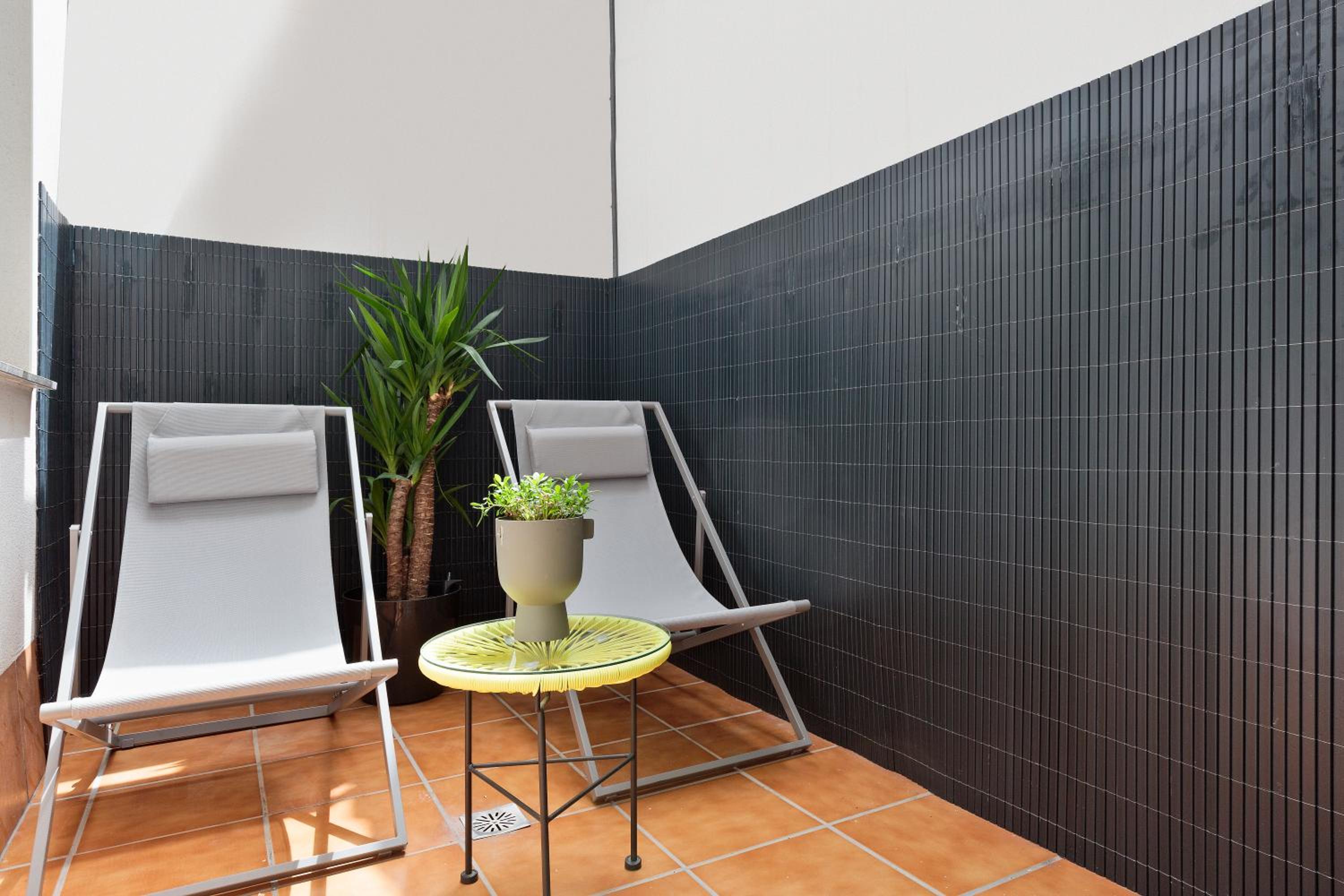 Apartment with Terrace photo 2