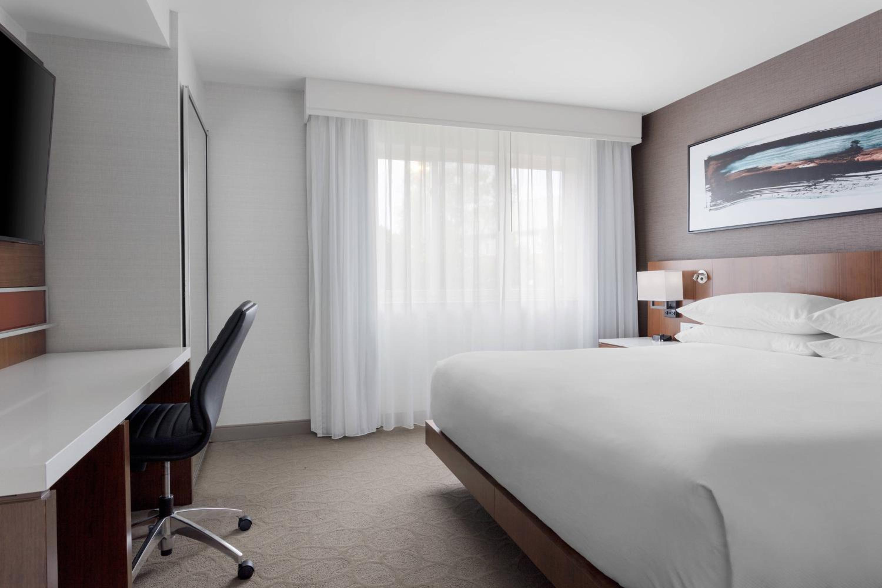 Suite - Photo 3