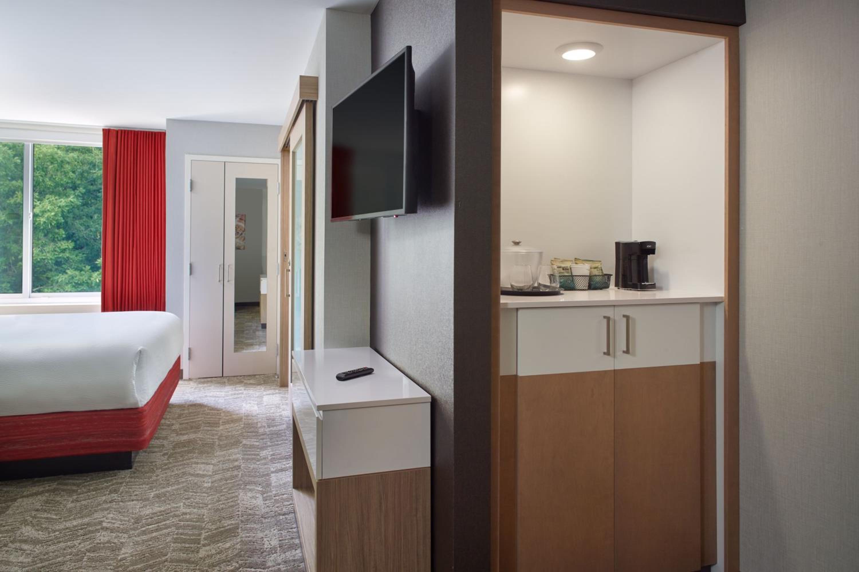 Studio Suite with 1 King, Trundle bed - Photo 5