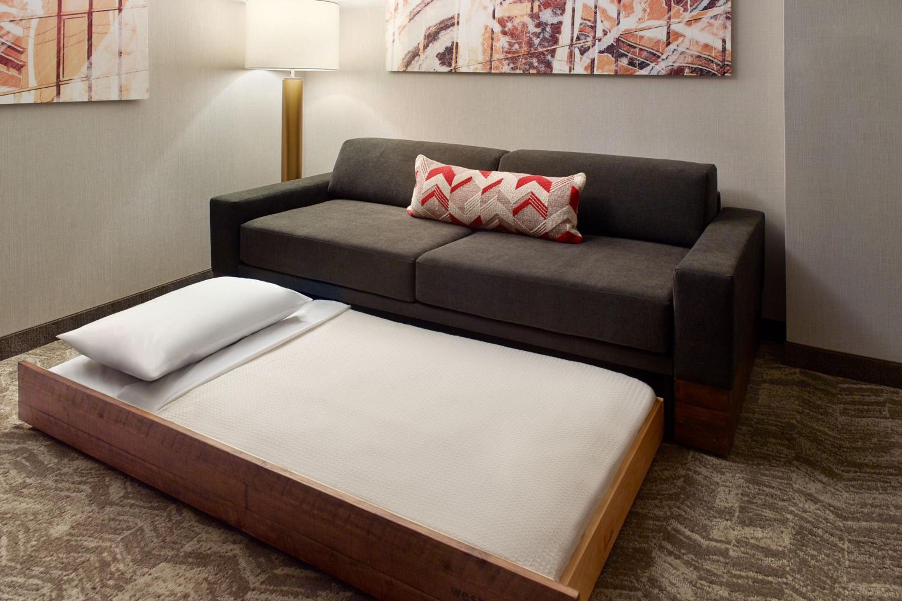 Studio Suite with 1 King, Trundle bed - Photo 6