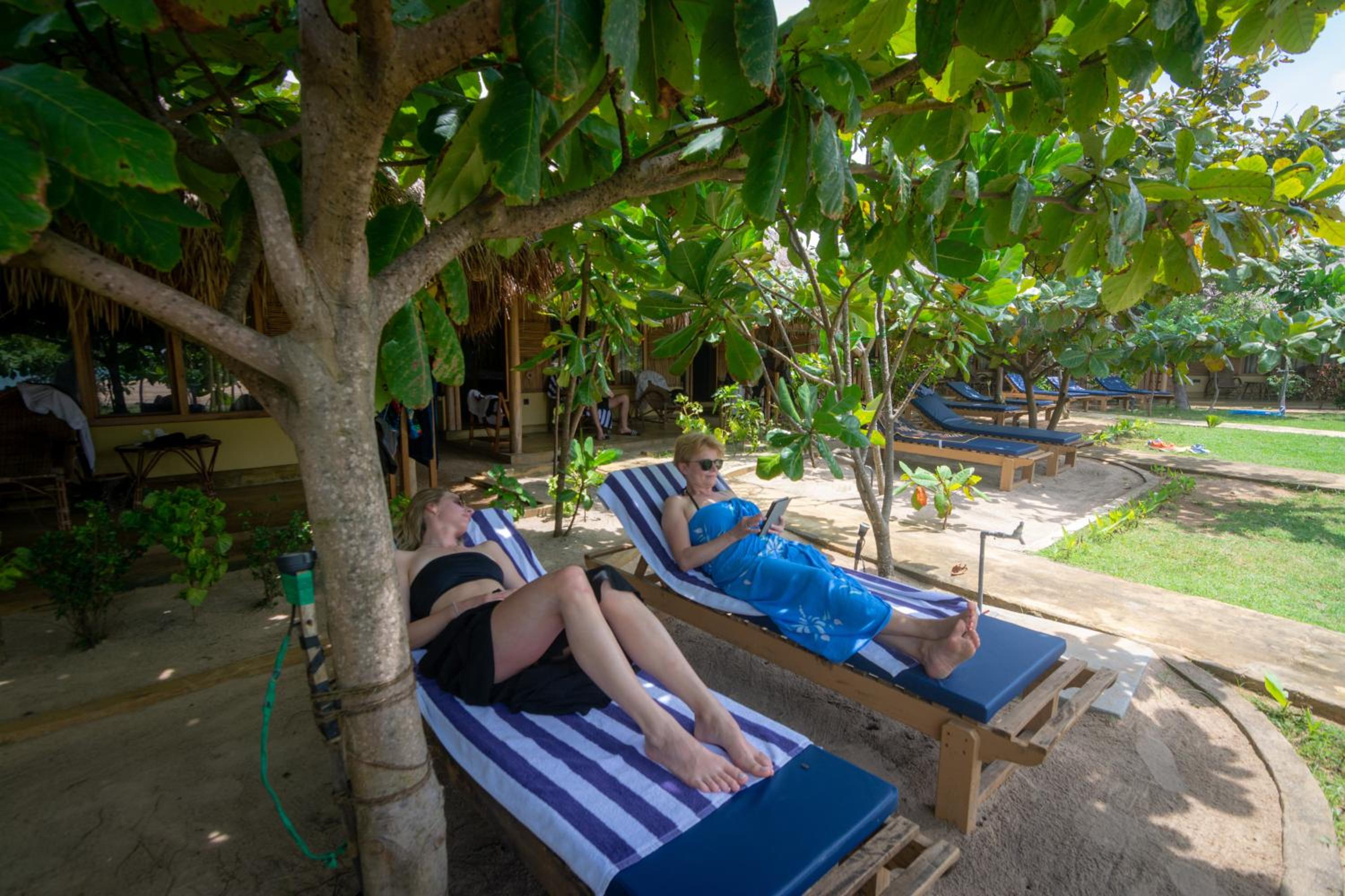 Eco Luxury Beach Front Double Cabana
