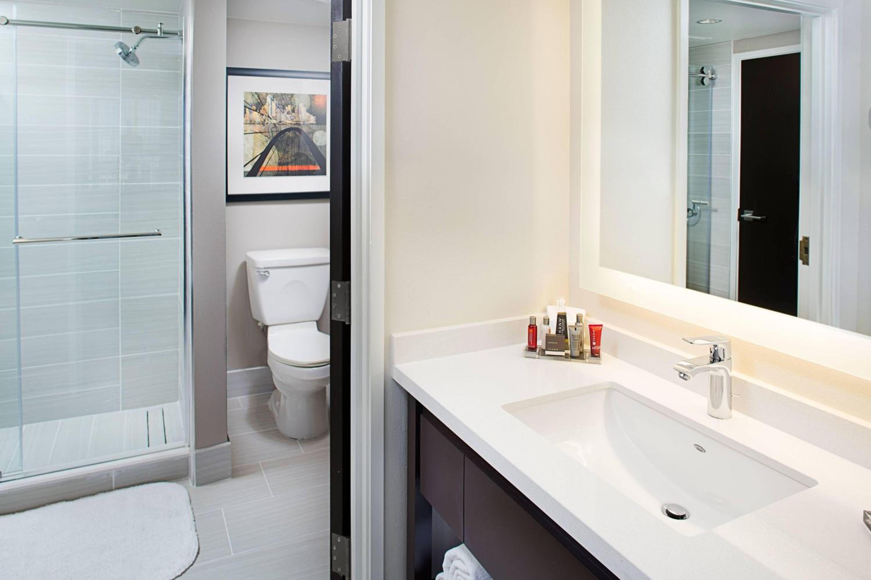 One Bedroom Suite with one King Bed and Sofa Bed photo 3