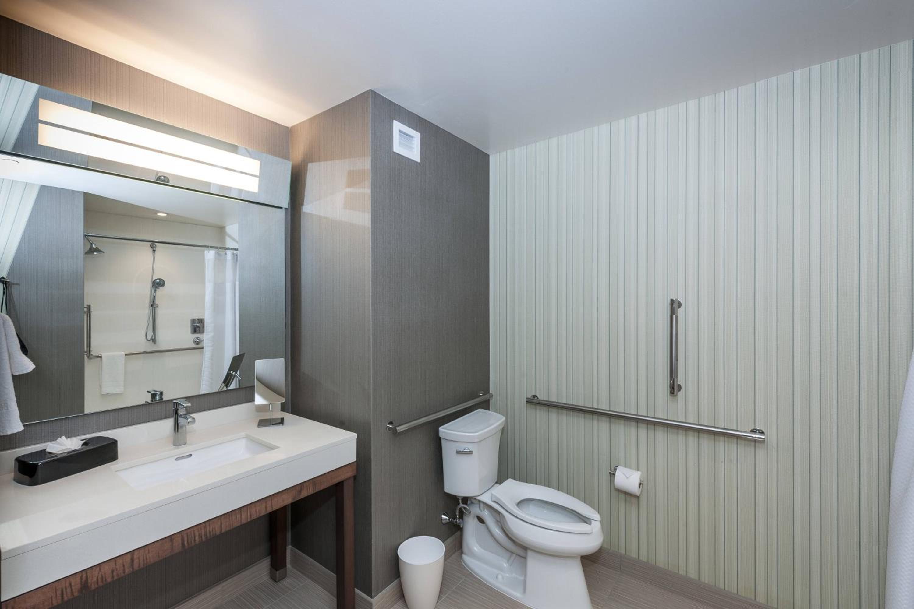 King Room with Roll-In Shower - Mobility Accessible