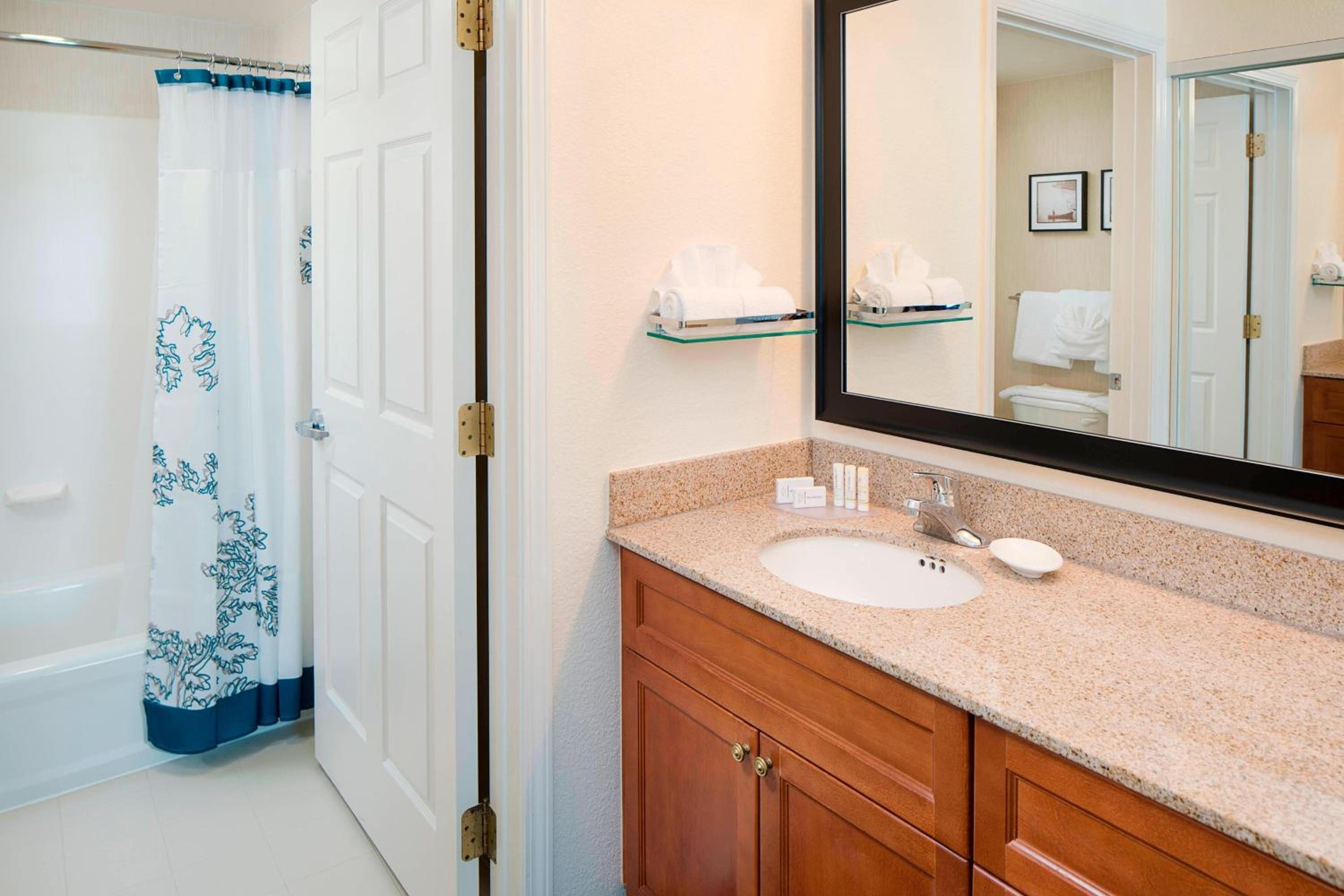 One-Bedroom Queen Suite with Sofa Bed - Photo 4