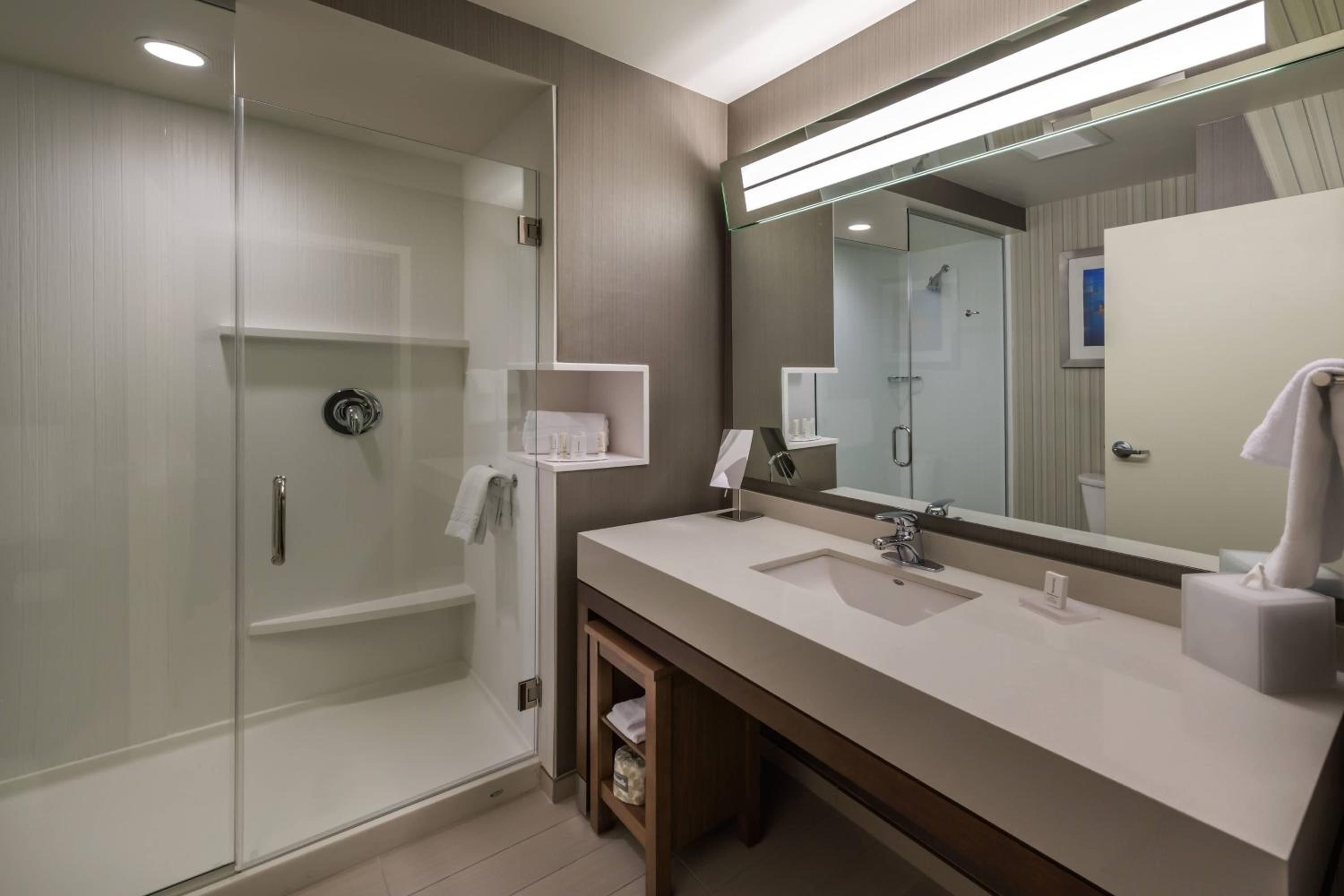 Guest room, 1 King, Non-Private Sofa bed (Hearing Accessible)