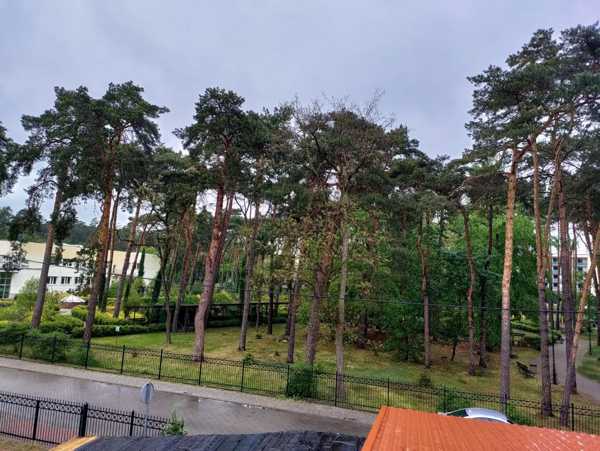 Double Room With Balcony photo 3