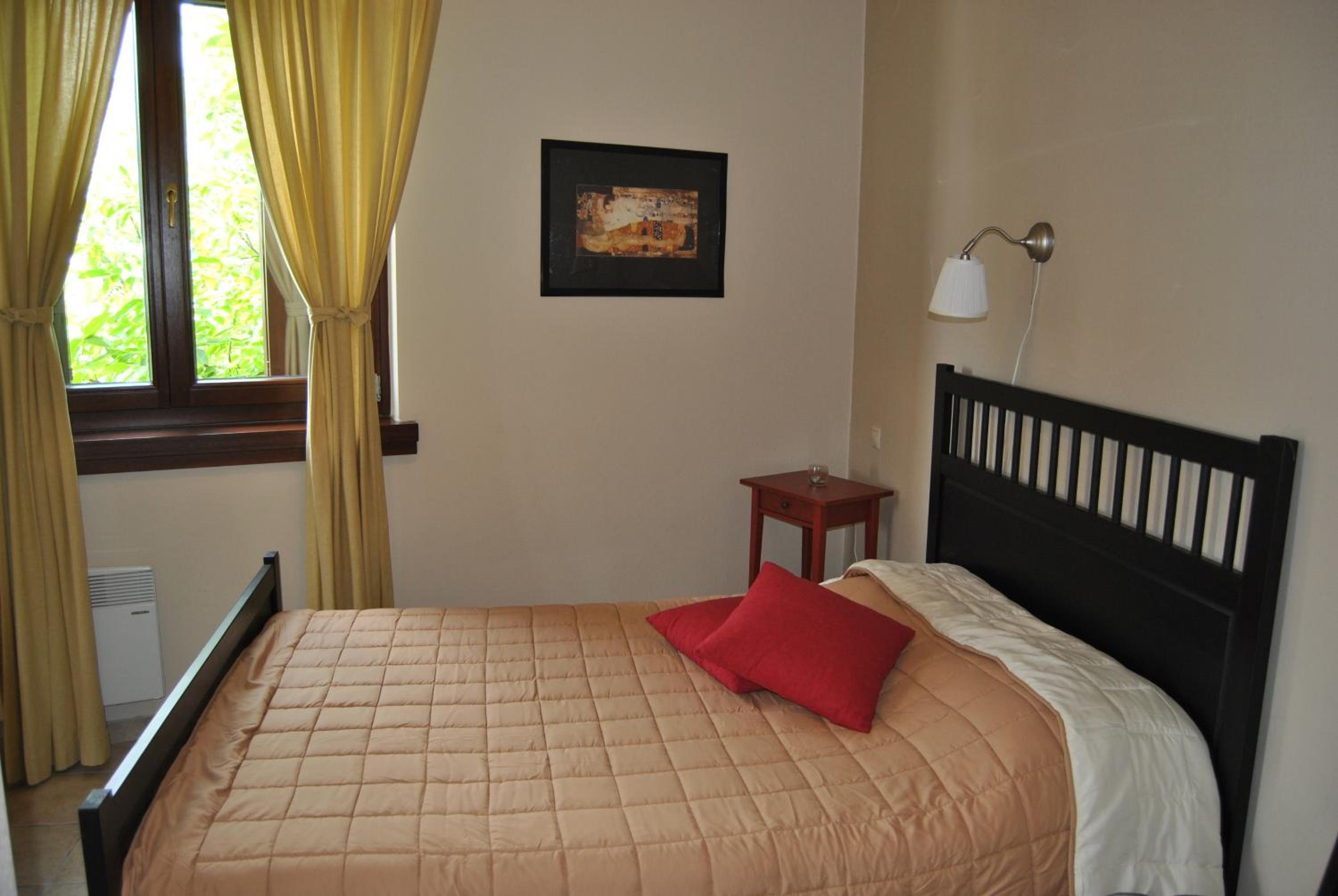Studio (2 Adults) with Mountain View photo 1