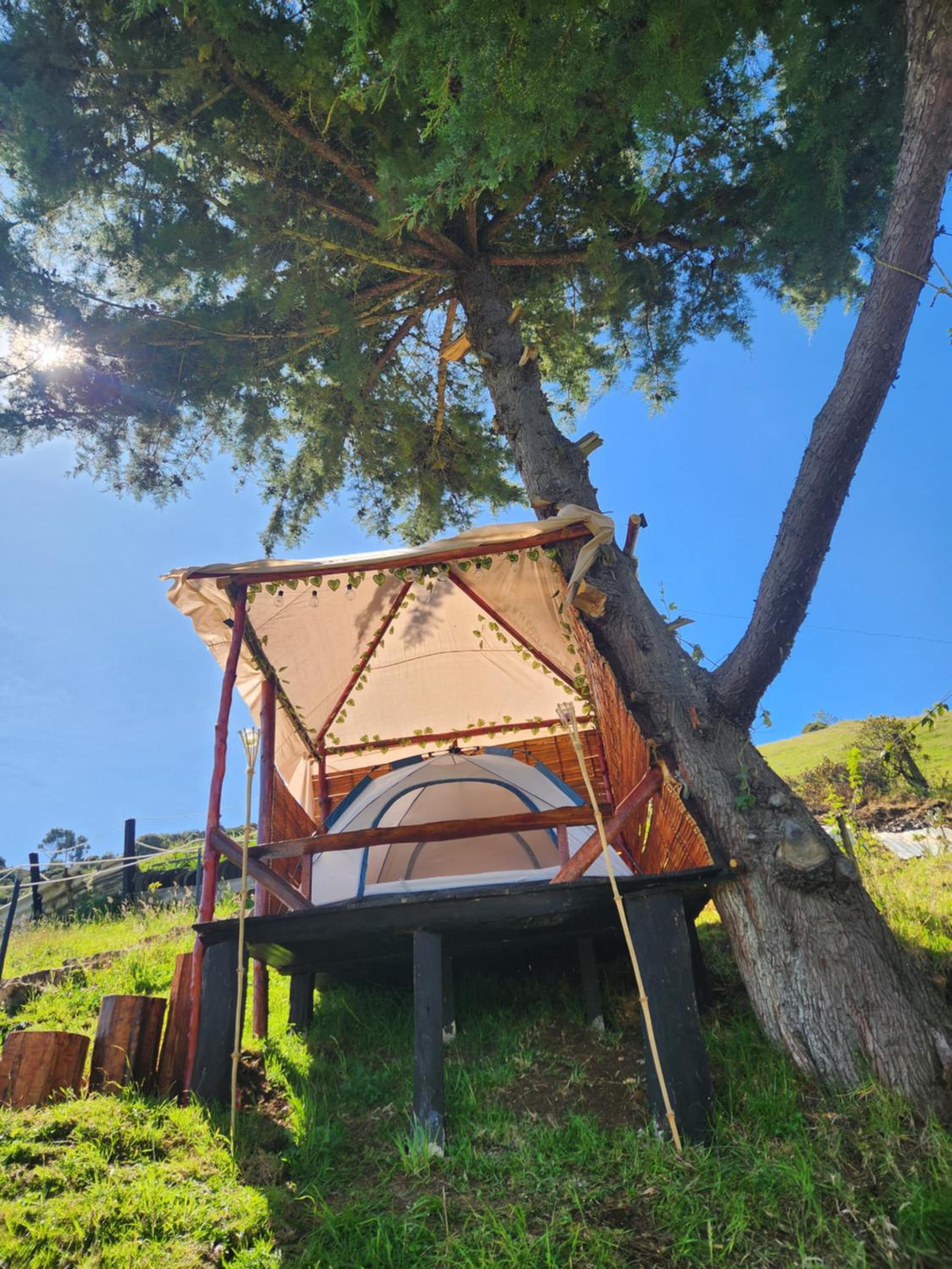 Double Room with Mountain View photo 1
