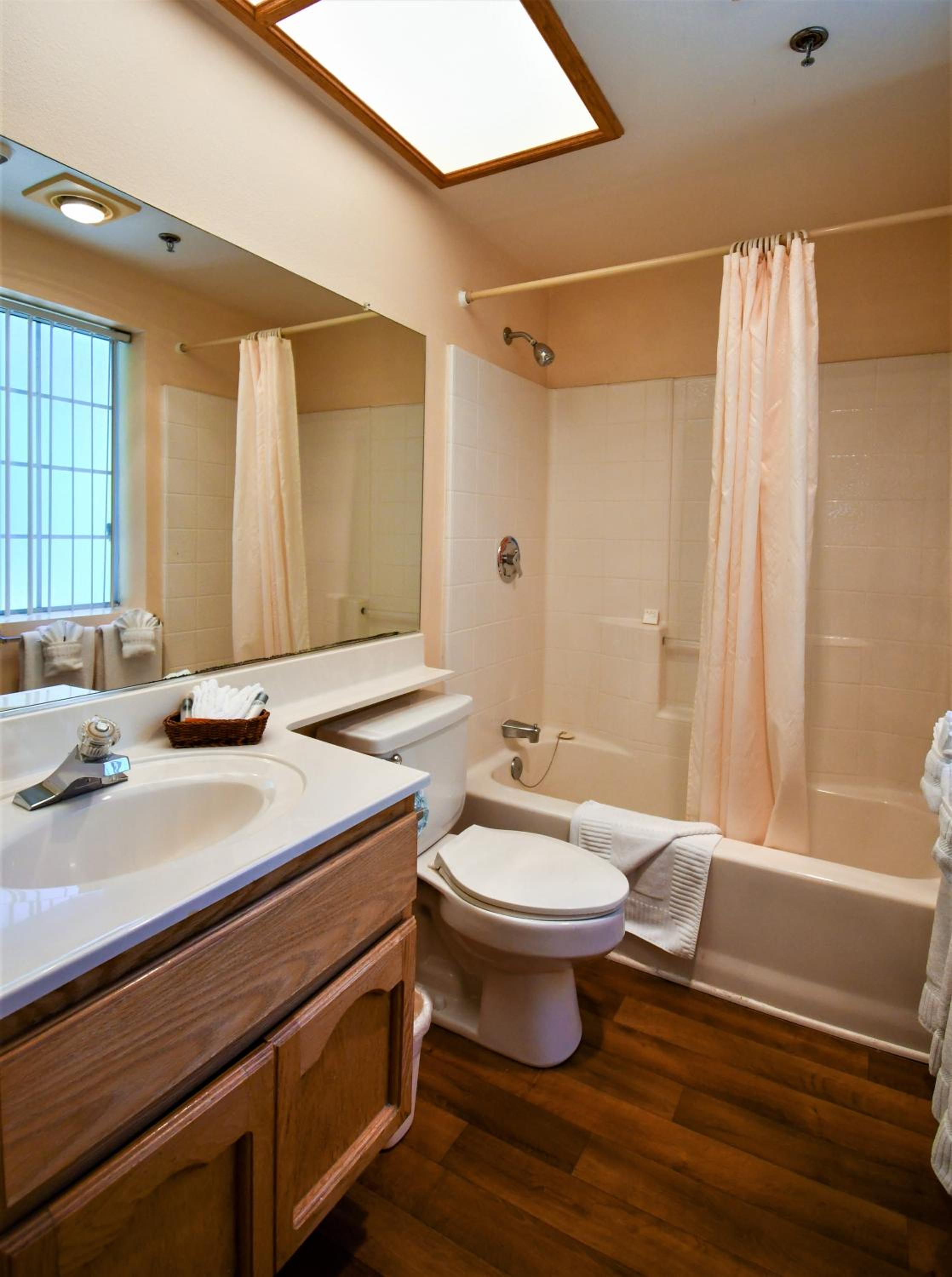 One-Bedroom Suite photo 3