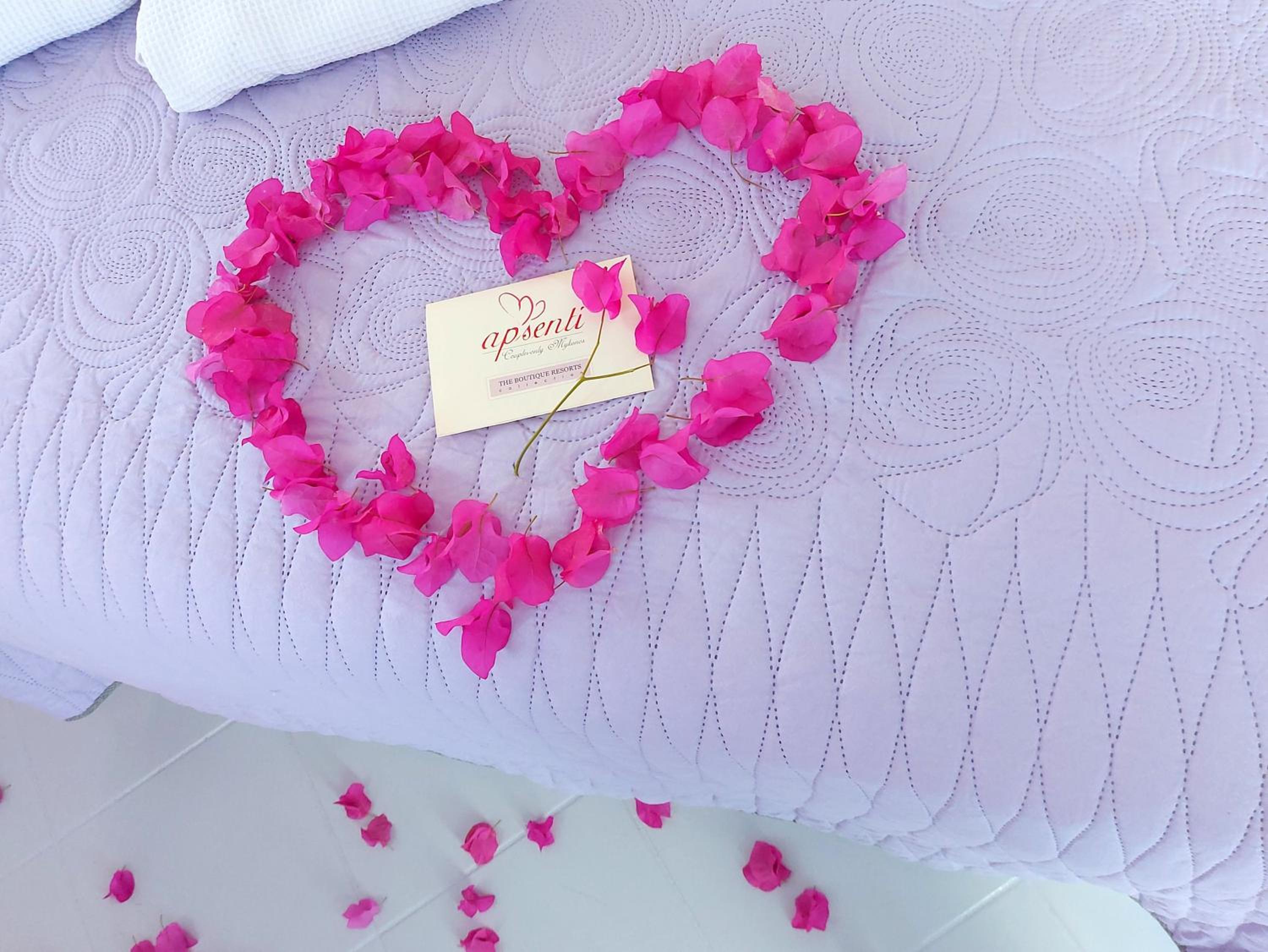 Sweet Hug - Queen size bed with outdoor whirlpool  - Photo 3