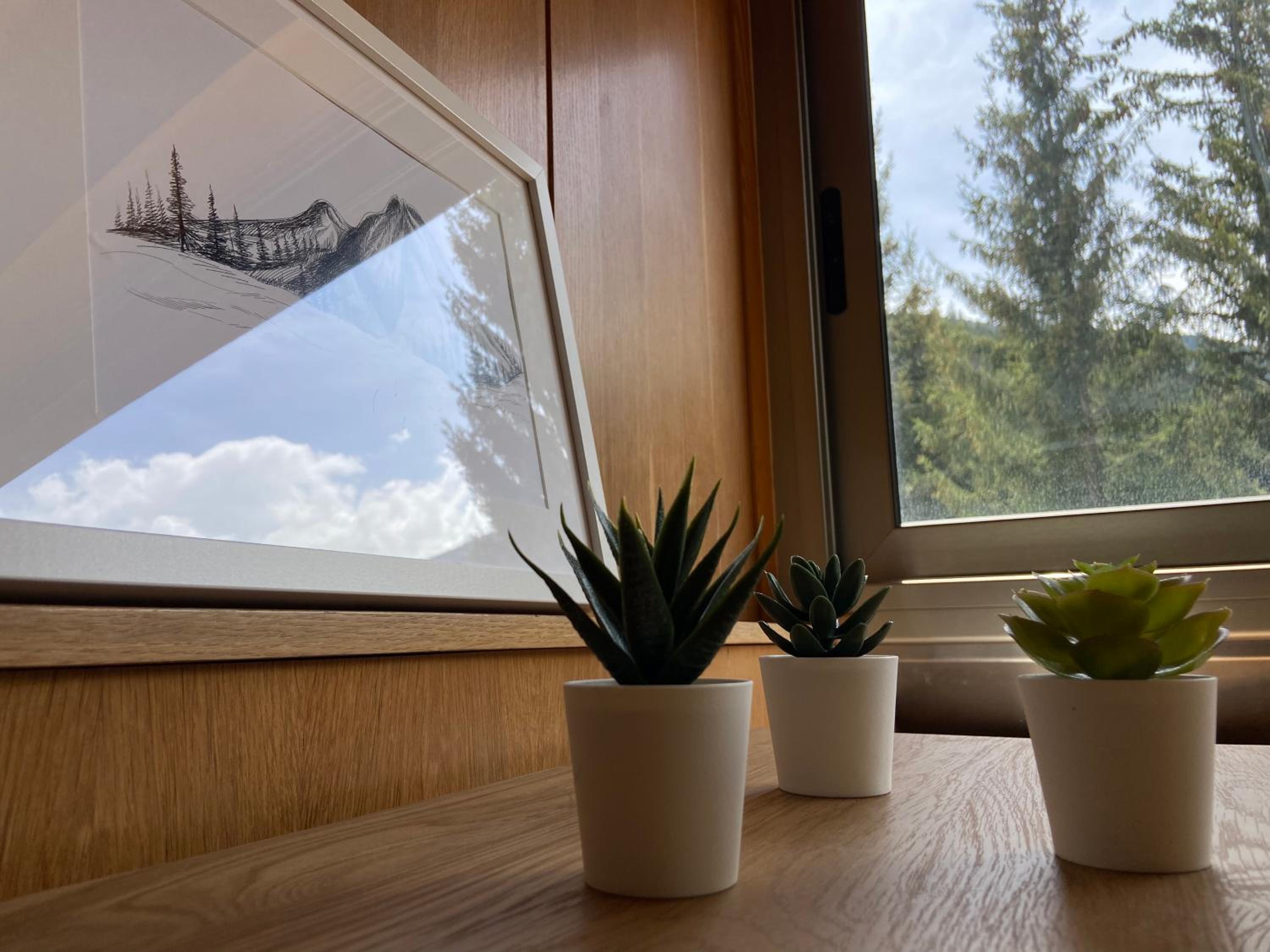 Duplex Apartment photo 2