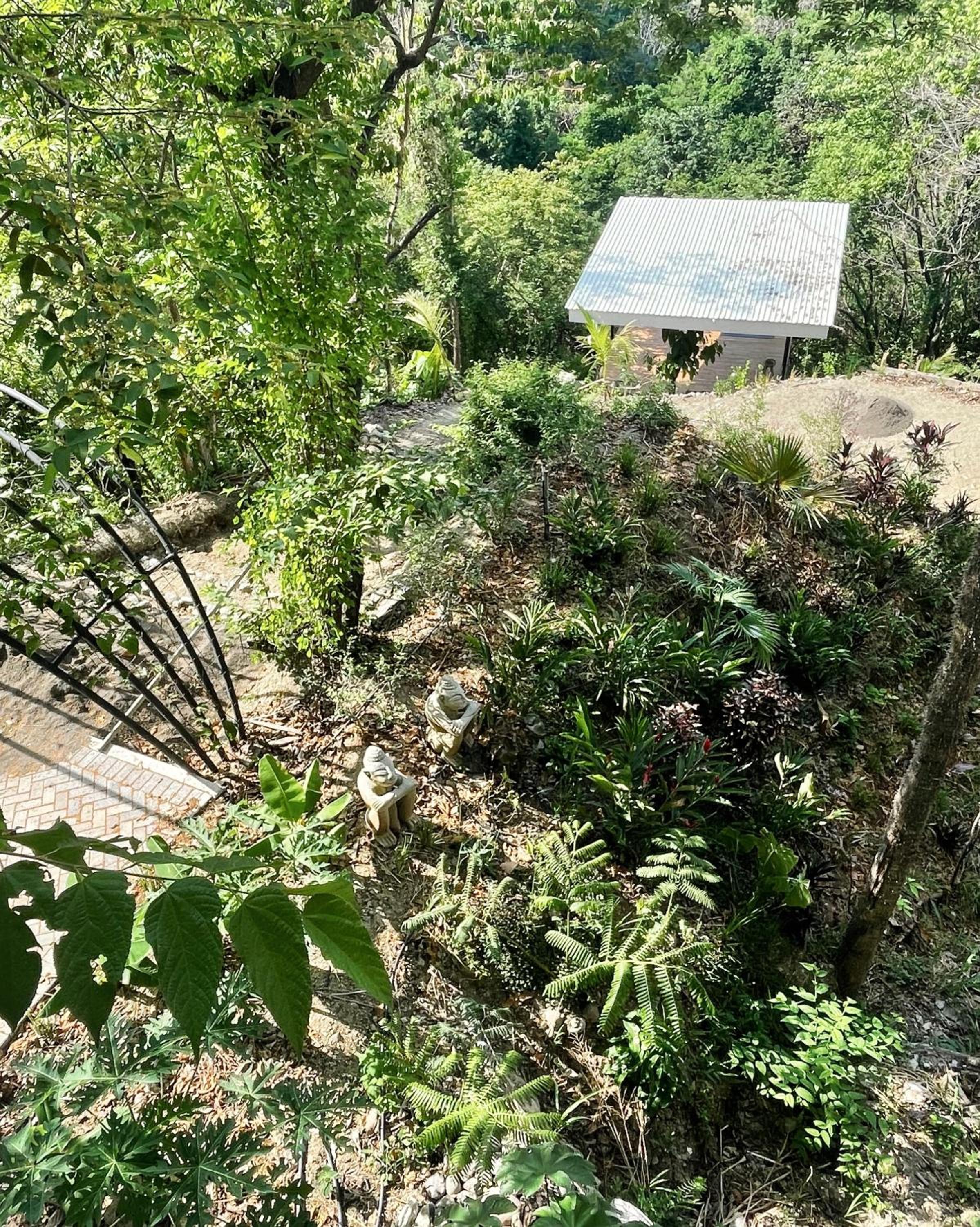 Suite with Terrace photo 3