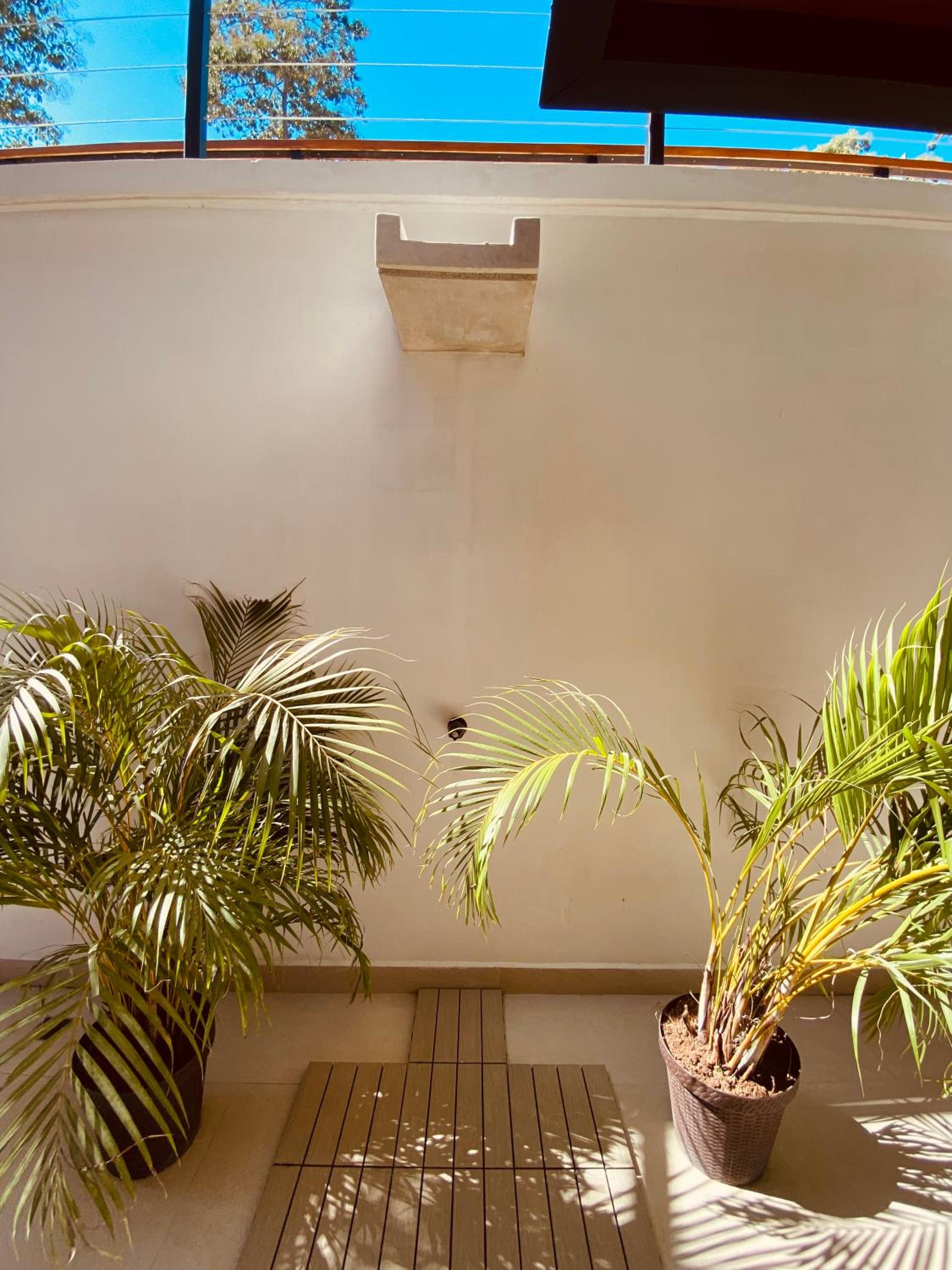 Suite with Balcony photo 3