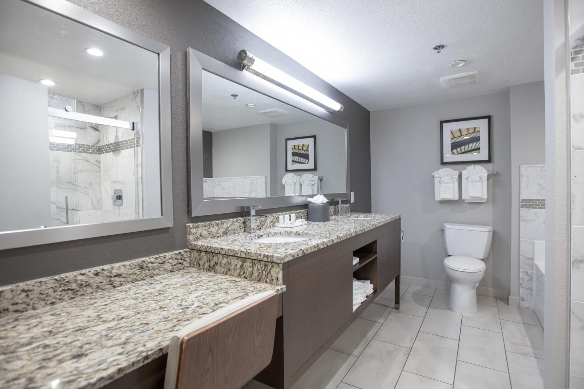 One-Bedroom Suite - Photo 3